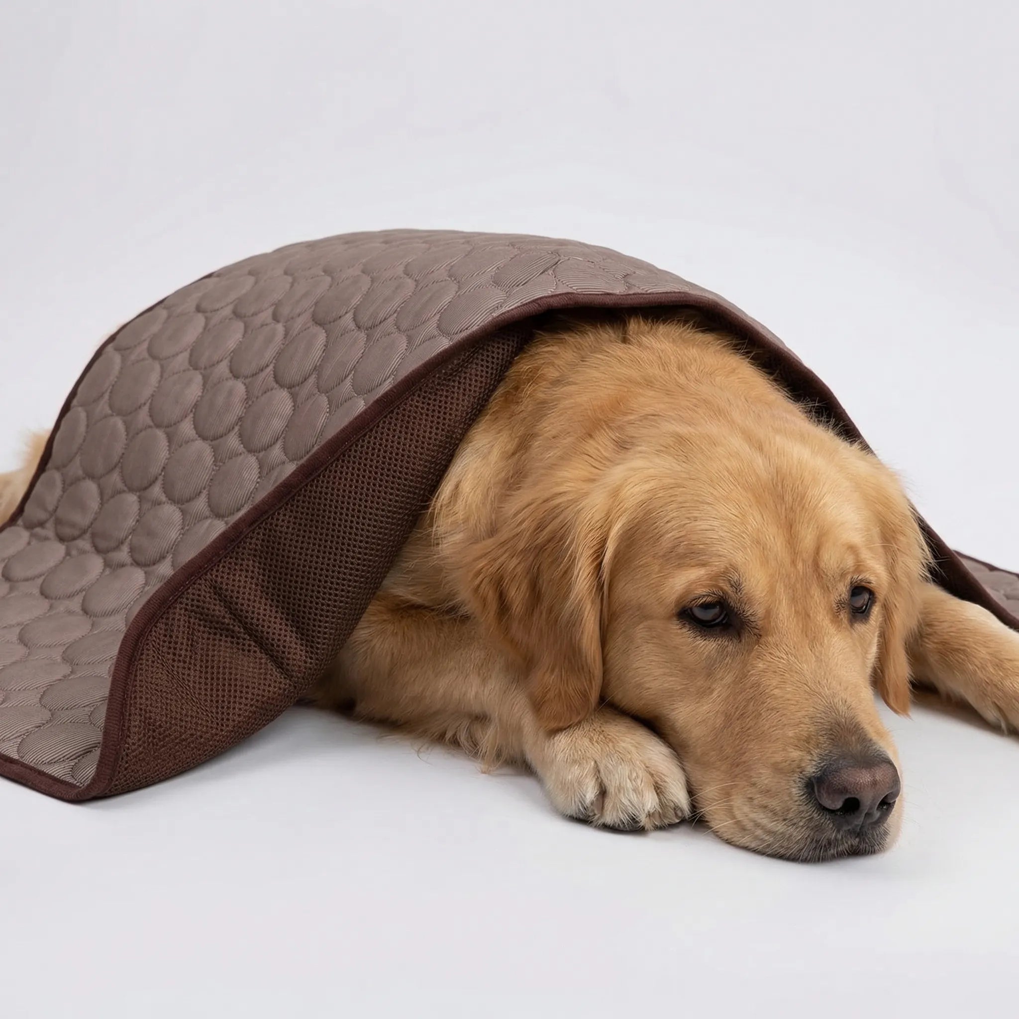 Nordspur | Coolpaw Breathable Mesh Cooling Pet Mat