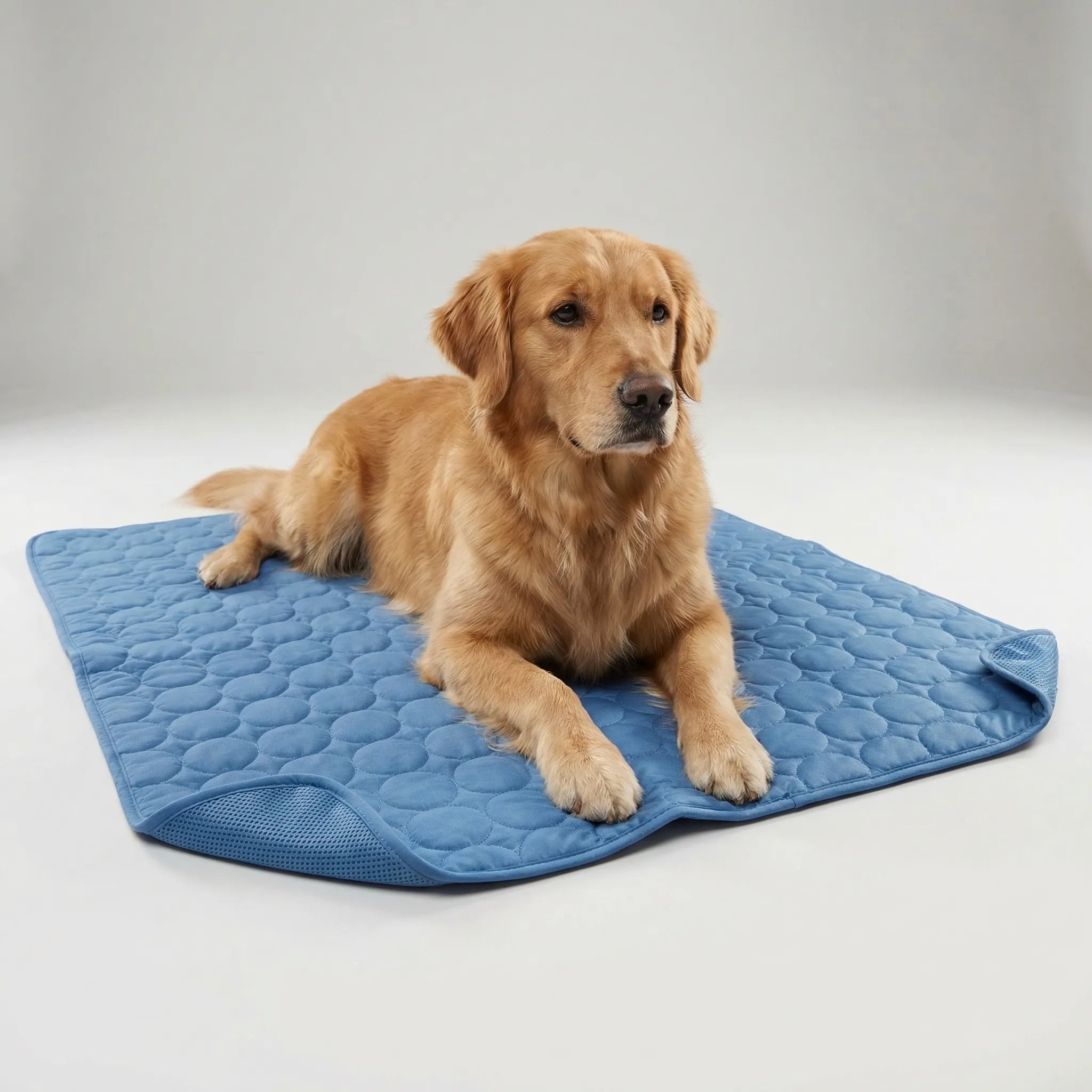Nordspur | Coolpaw Breathable Self-Cooling Pet Sleeping Mat