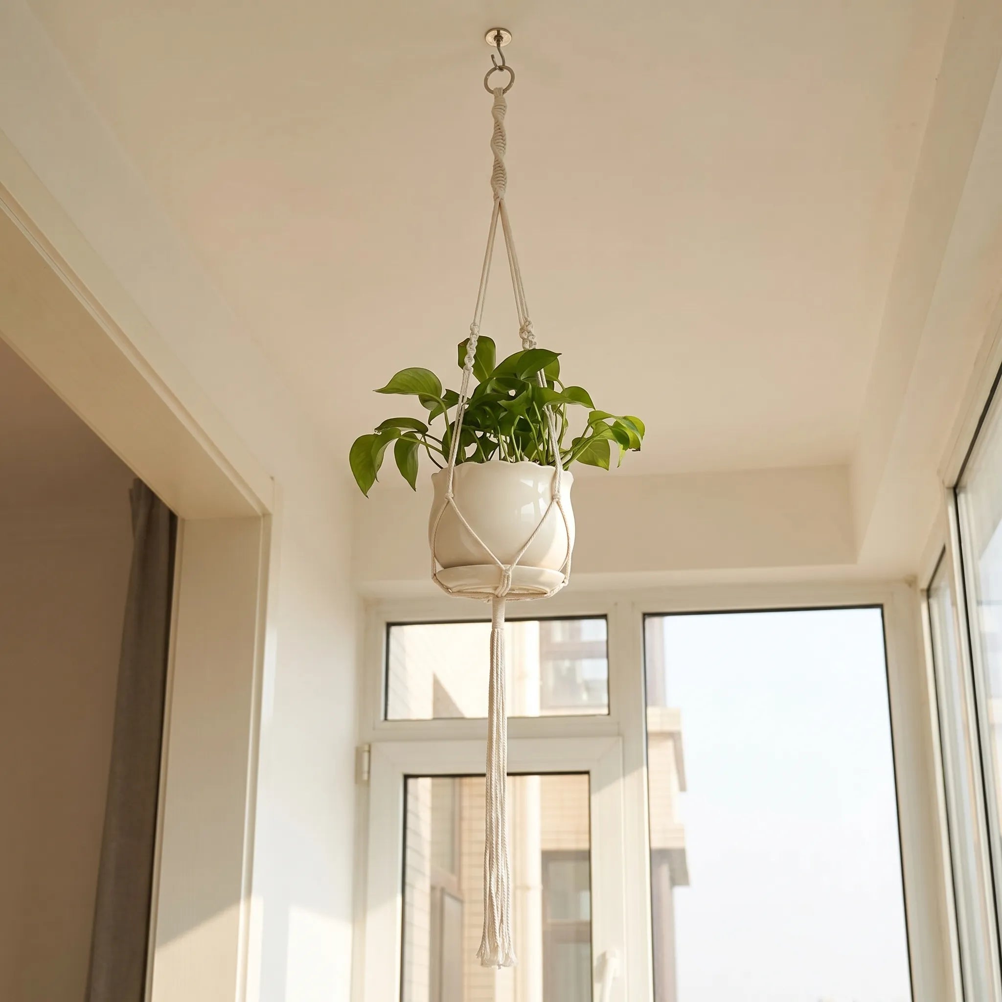 Nordspur | Cordani Woven Hanging Plant Holder