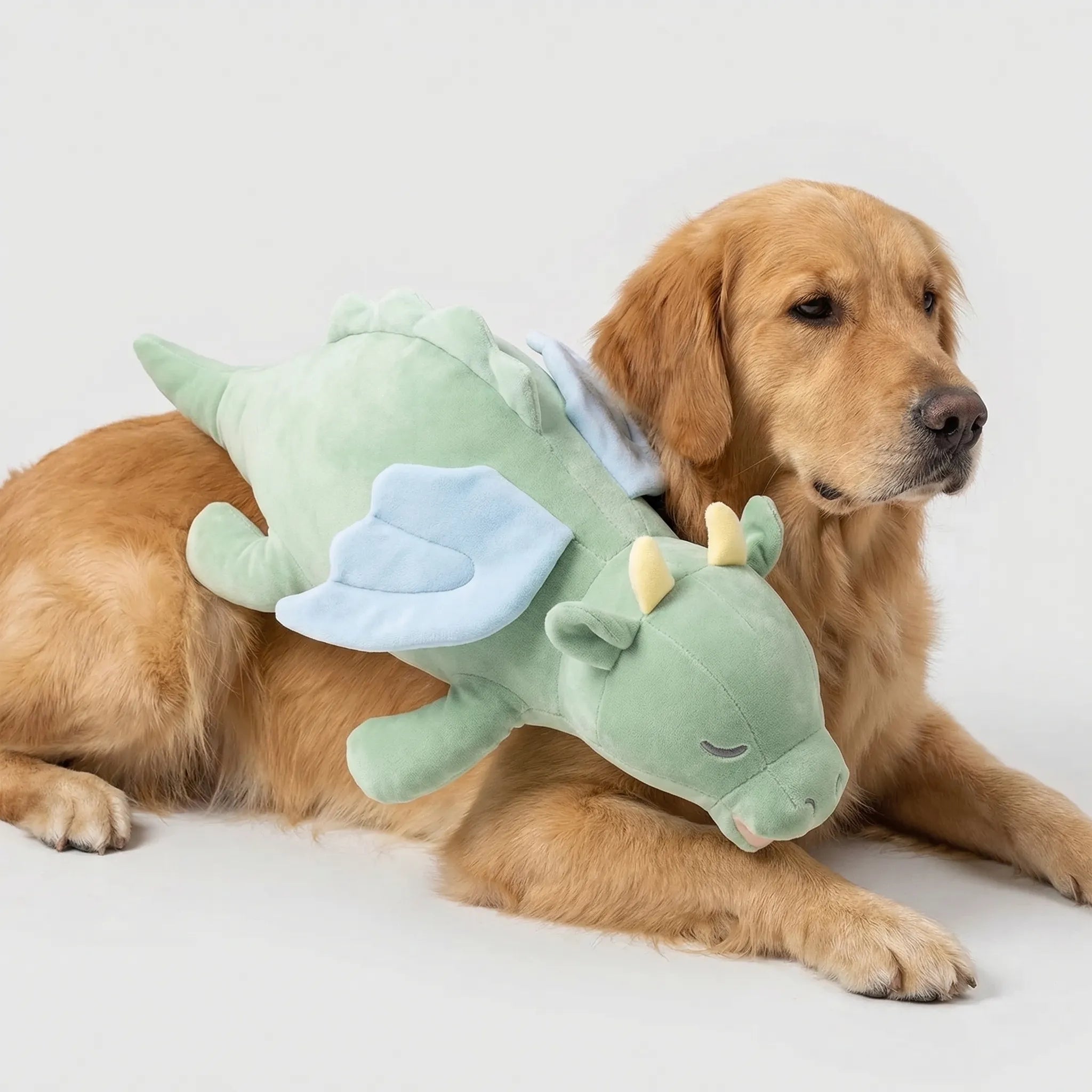 Welpen Herzschlag Plüschtier Drache Schlafgefährte