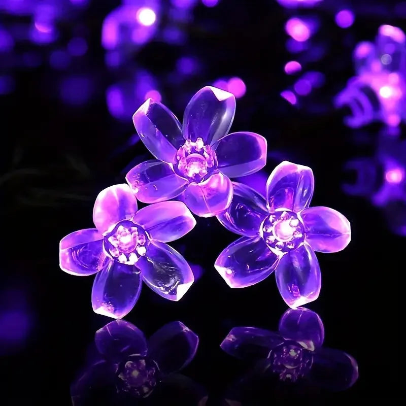 Nordspur | Florispa Solar Garden String Lights