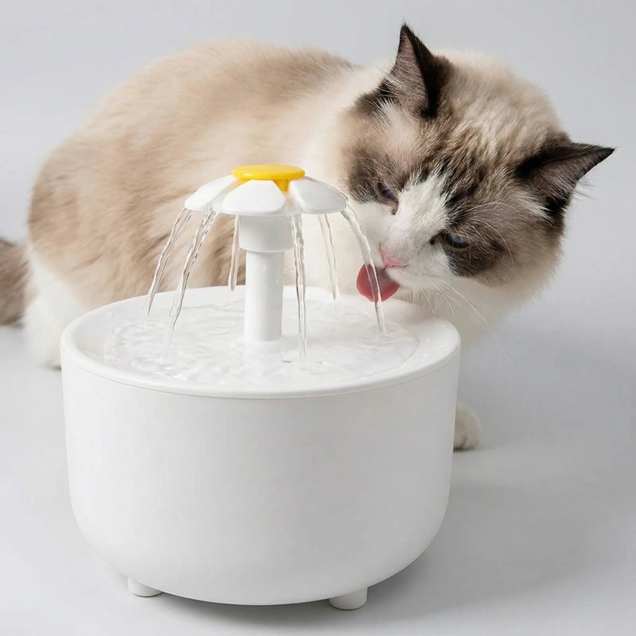 Nordspur | Flowpet Electric Recirculating Cat Water Fountain