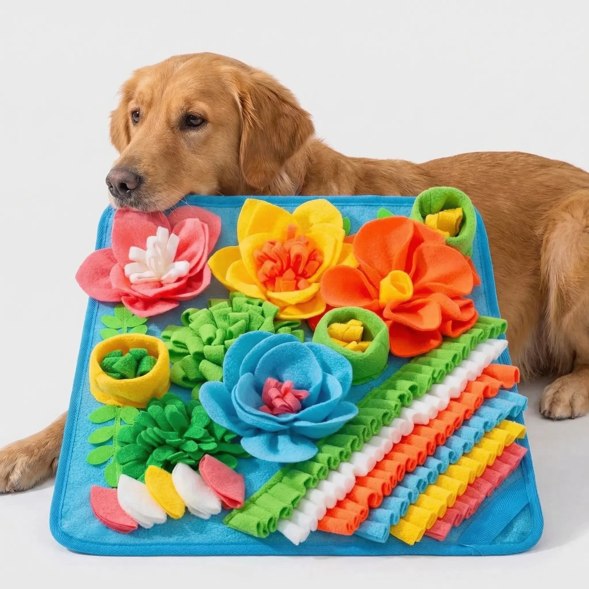 Interaktive Schnüffelmatte für Hunde und Katzen zur mentalen Stimulation