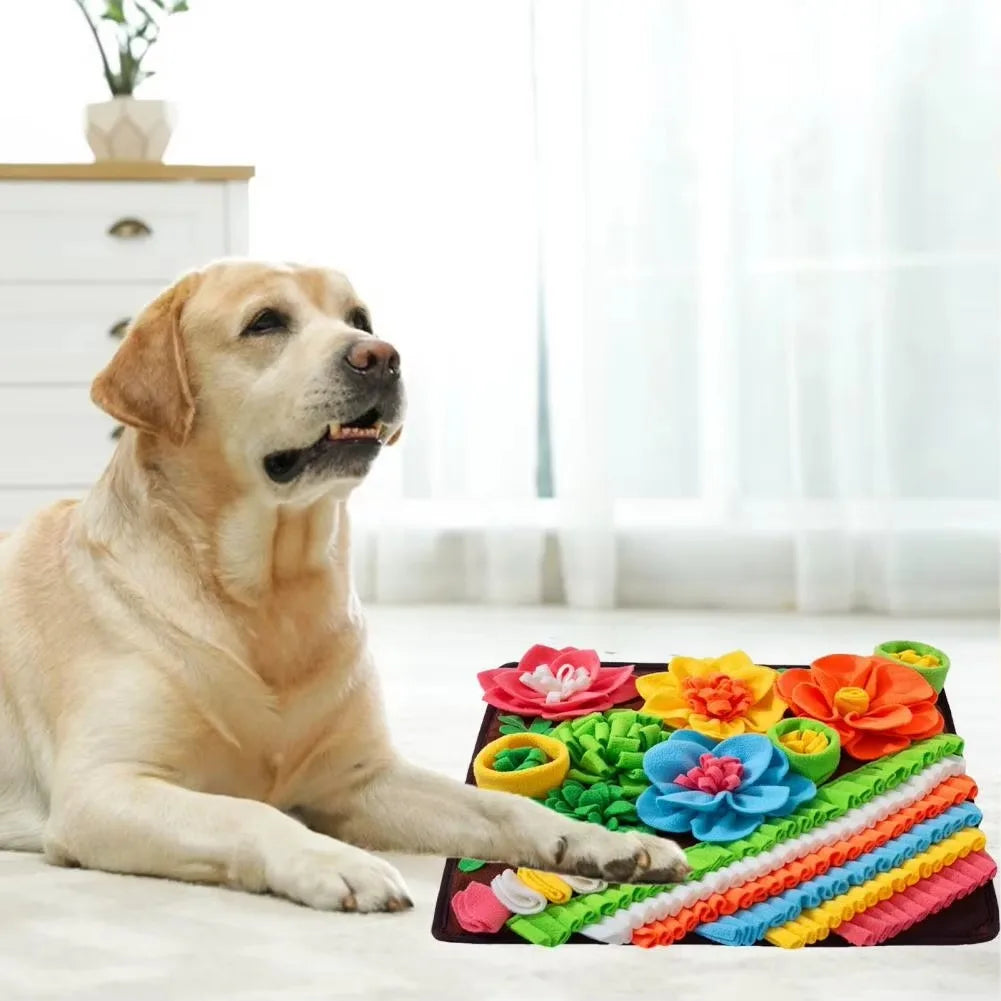 Interaktive Schnüffelmatte für Hunde und Katzen zur mentalen Stimulation