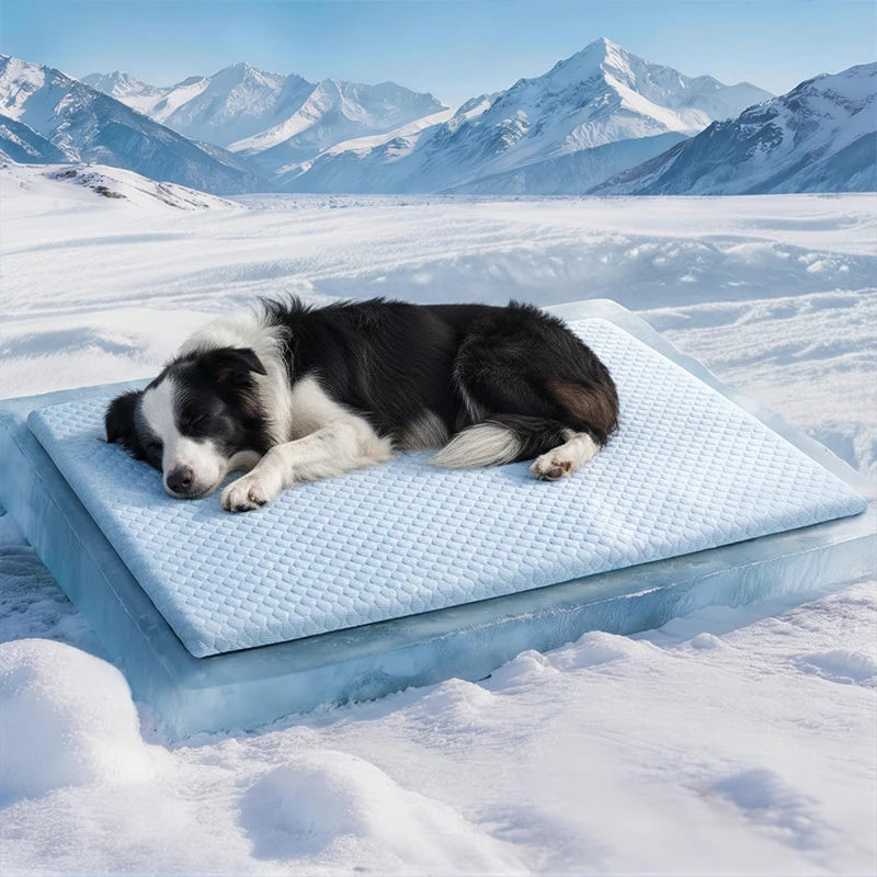 Nordspur | Frostix Breathable Cushioned Pet Cooling Mat