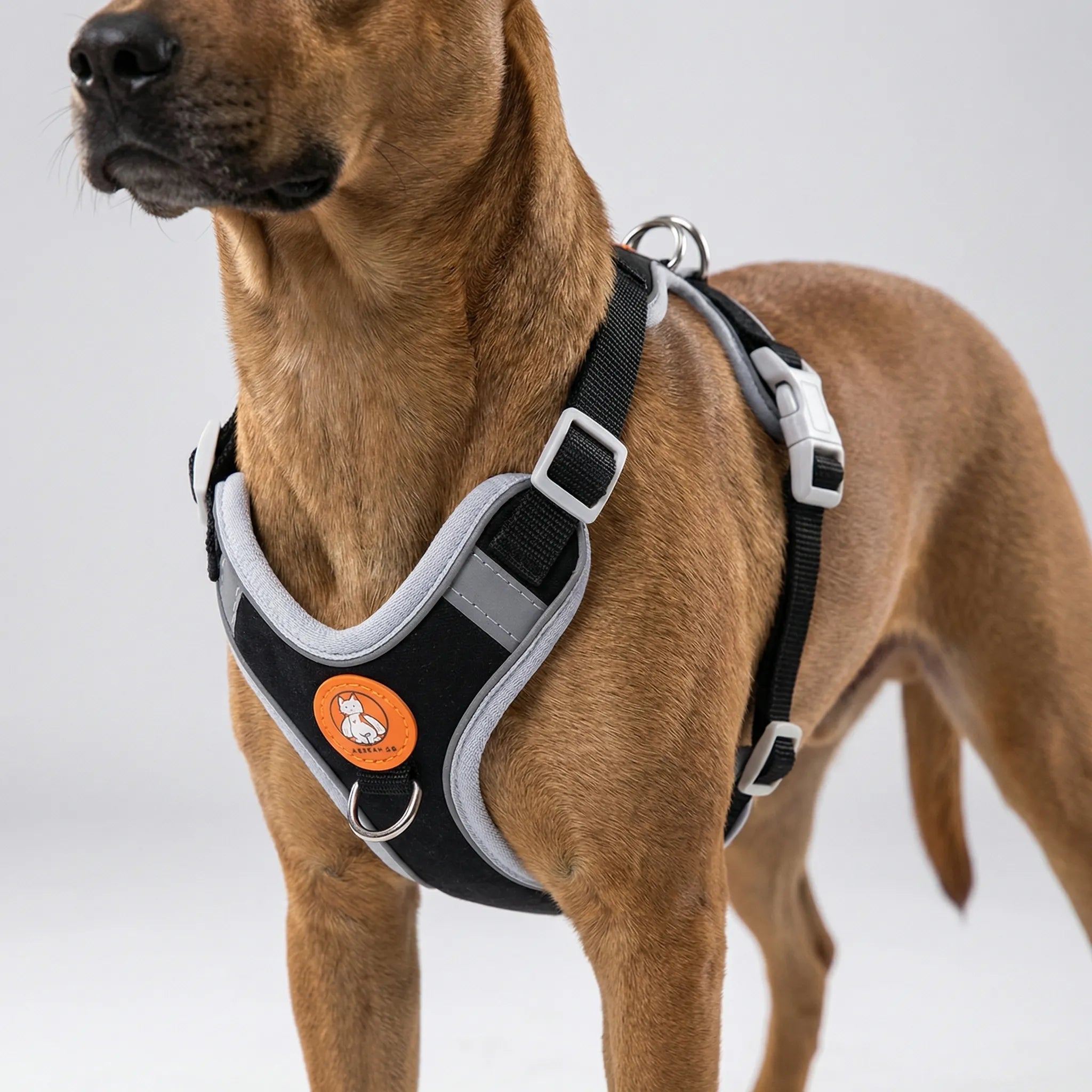 Nordspur | Furloop Adjustable Vest-Style Dog Harness