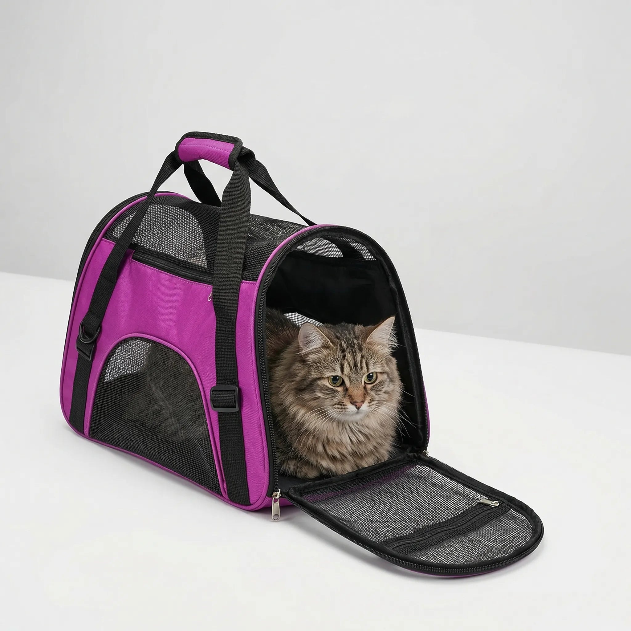 Nordspur | Furroam Foldable Mesh Pet Carrier Bag