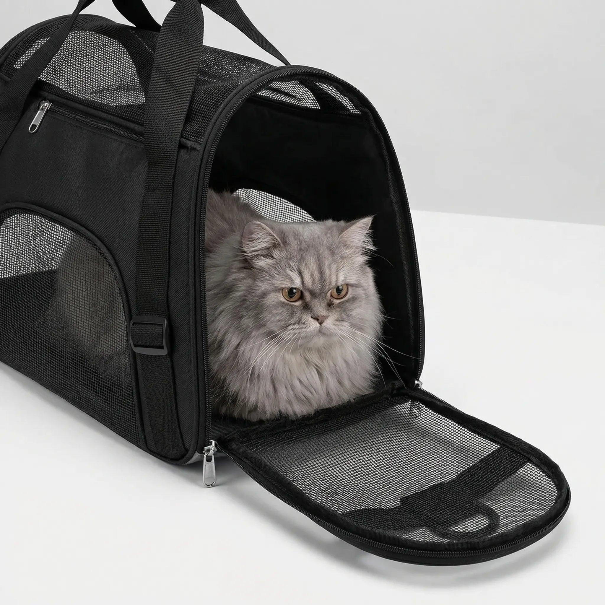 Nordspur | Furroam Foldable Mesh Pet Carrier Bag