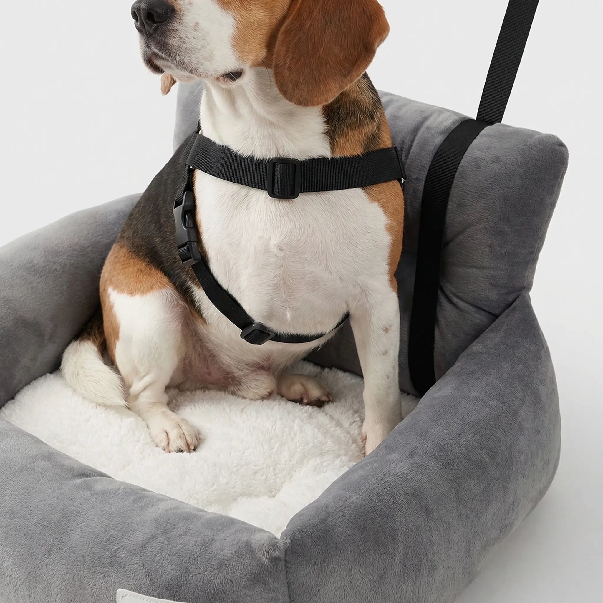 Nordspur | Furroost Cushioned Pet Car Booster Seat