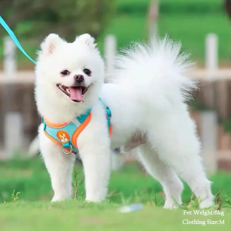 Nordspur | Furrstrap Reflective Vest Harness For Small Pets