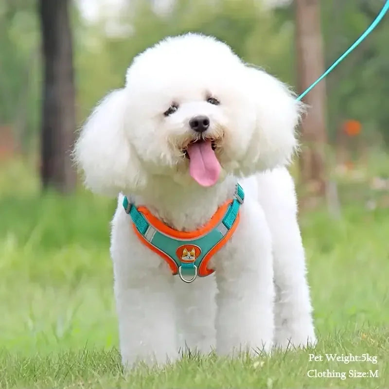 Nordspur | Furrstrap Reflective Vest Harness For Small Pets