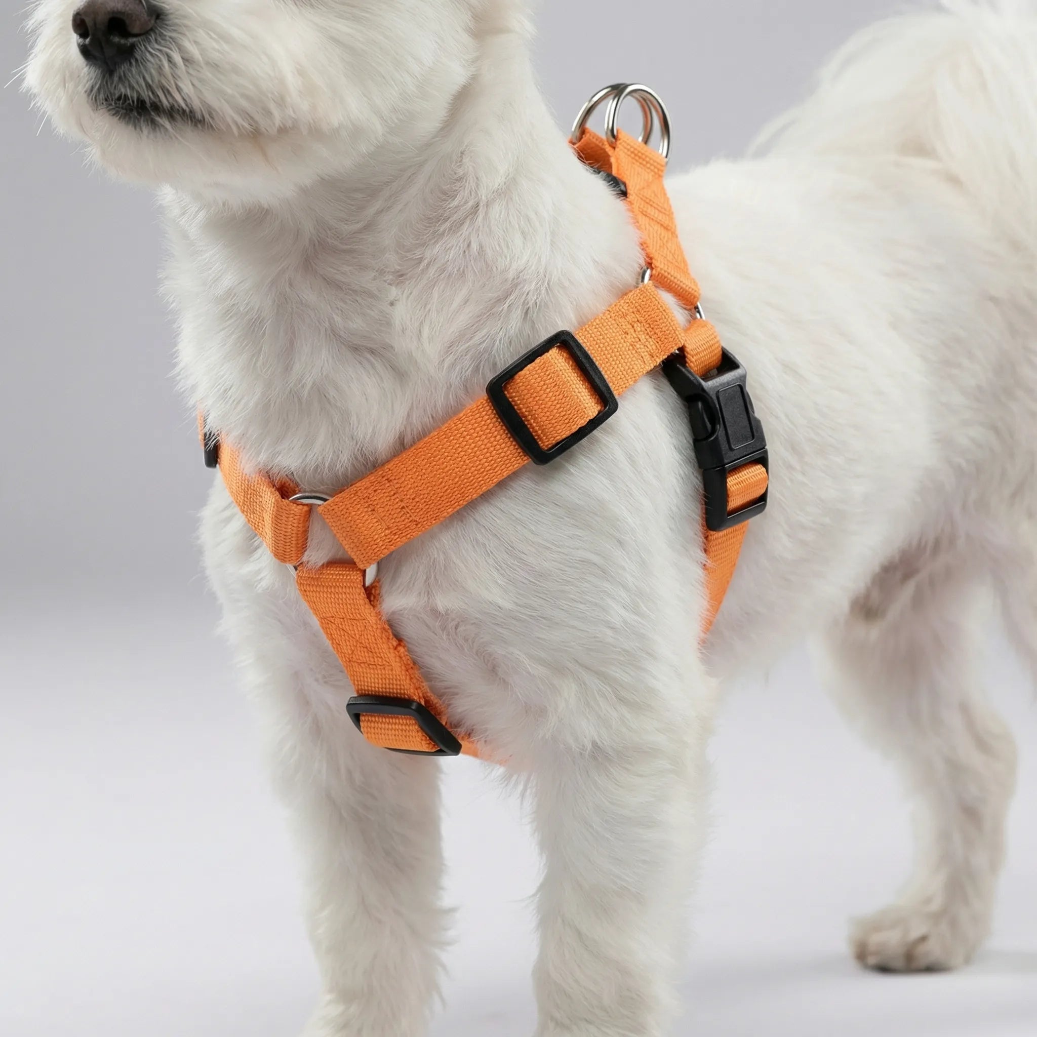 Nordspur | Glowfit Rechargeable LED Safety Dog Harness