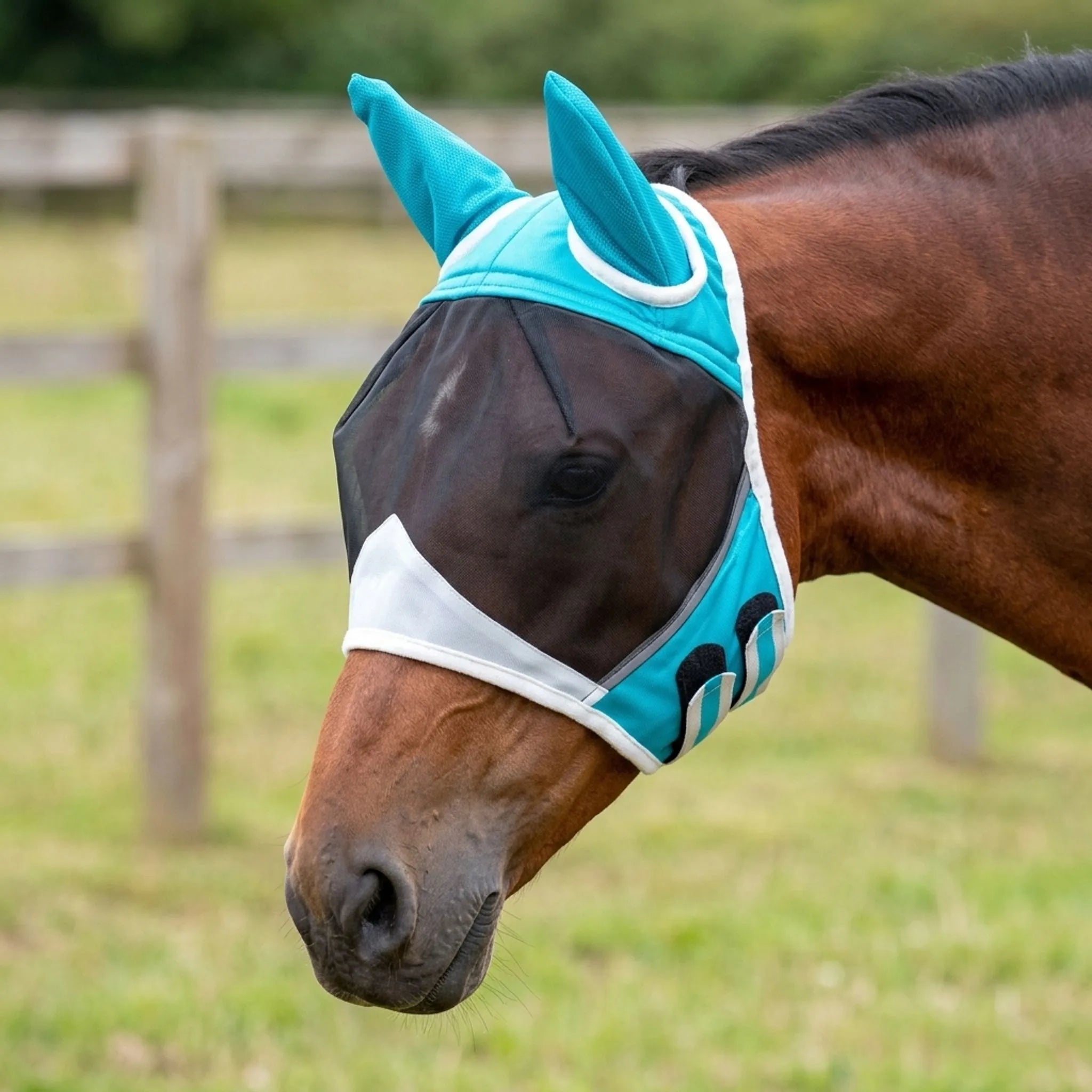 Nordspur | Grazon Mesh Equine Face Cover