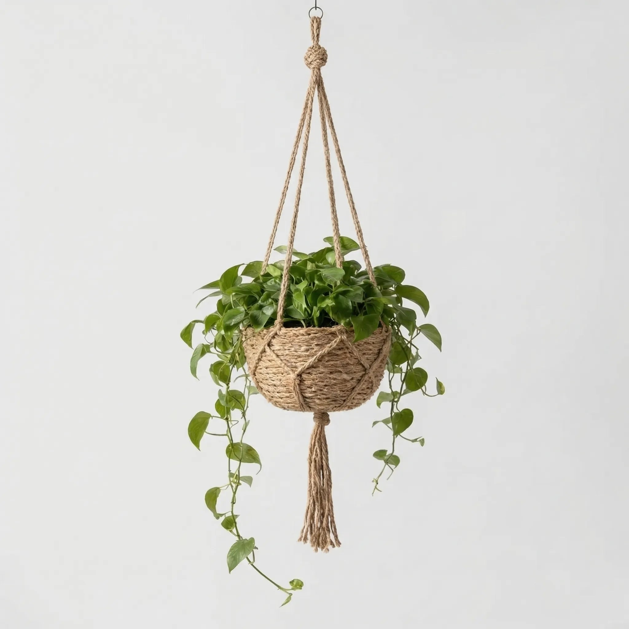 Nordspur | Hangvine Woven Rope Hanging Plant Basket