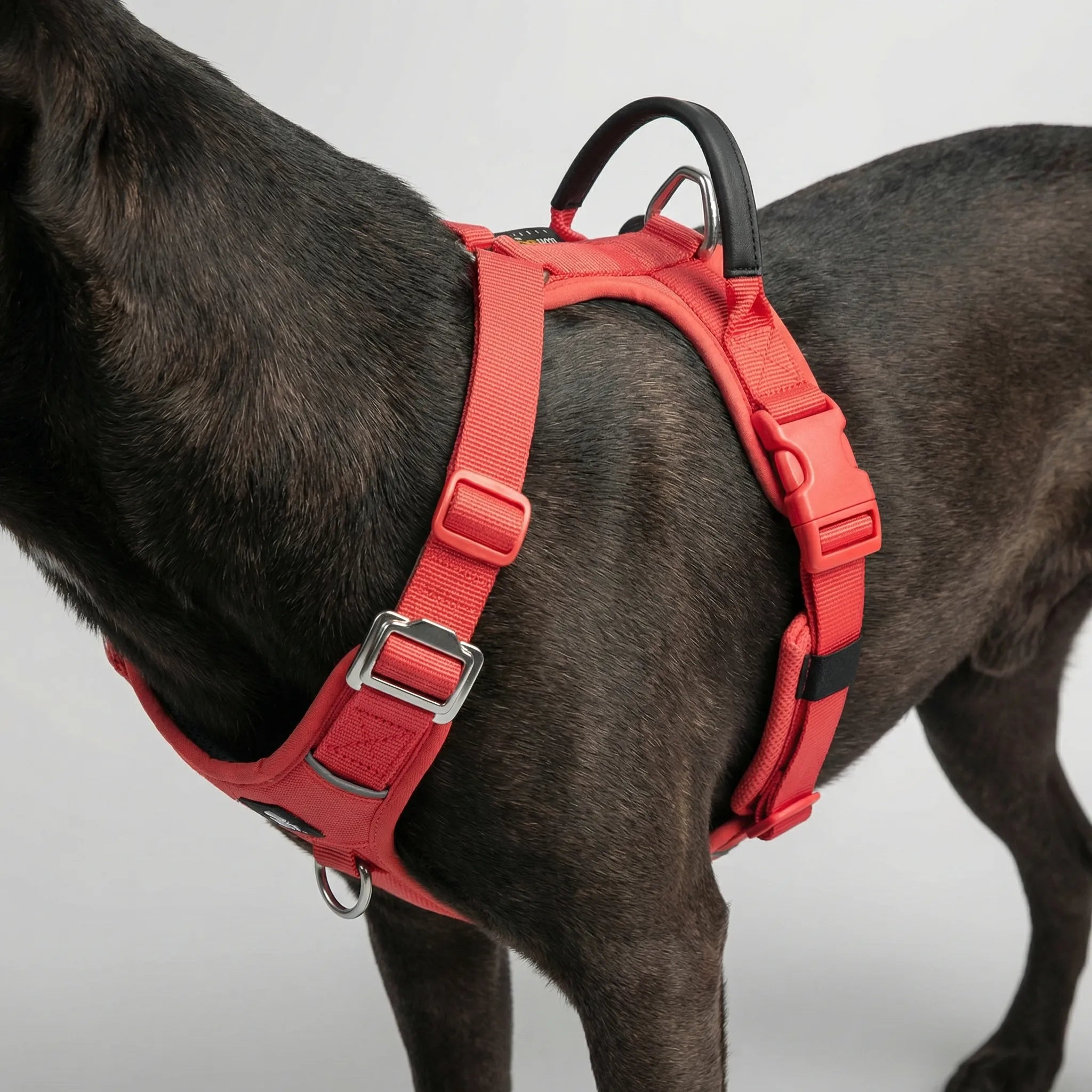 Nordspur | Houndlix Adjustable No-Pull Vest Harness
