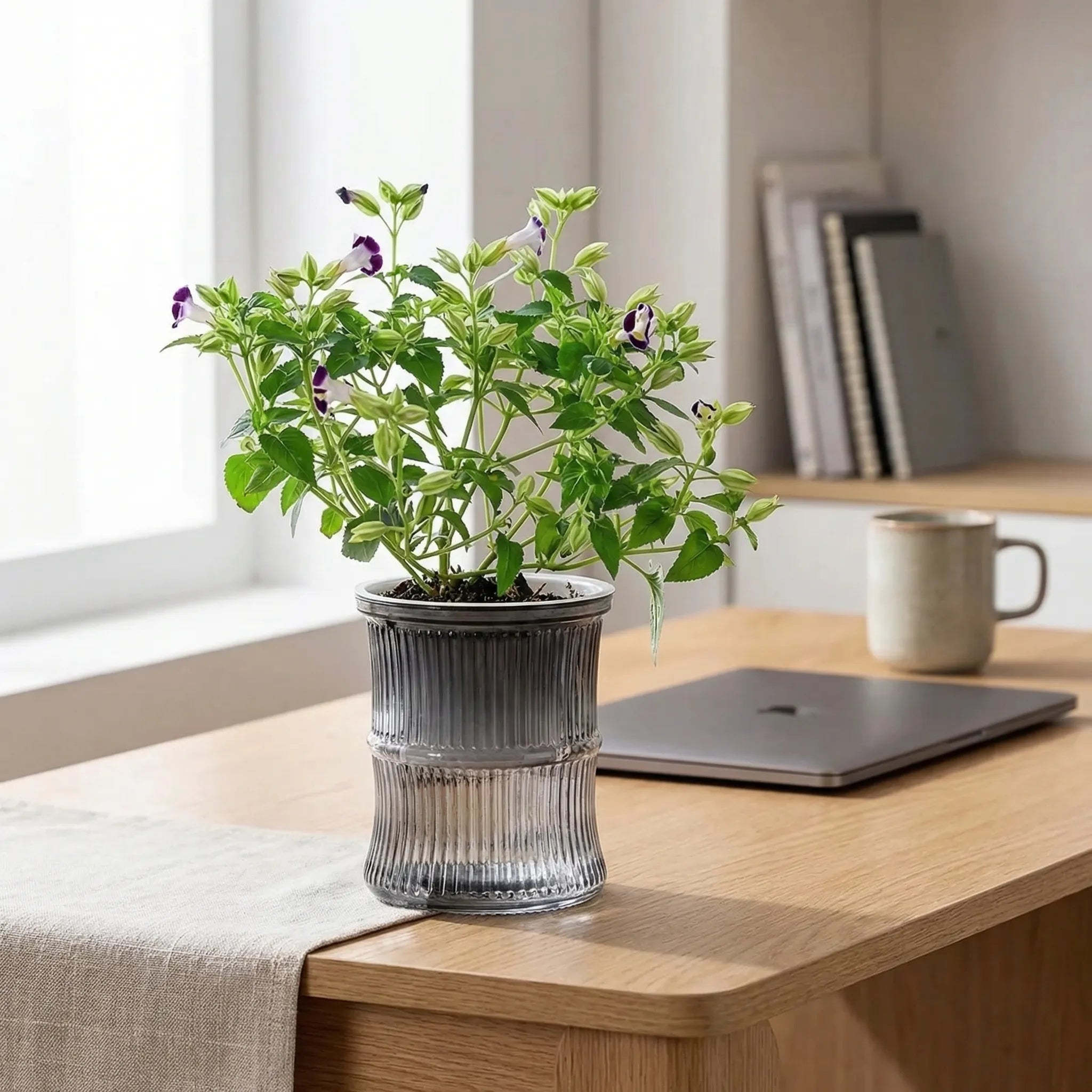 Nordspur | Hydroflo Double-Layer Self-Watering Indoor Planter