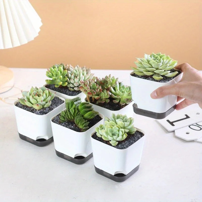 Nordspur | Hydrolia Self-Watering Indoor Planters