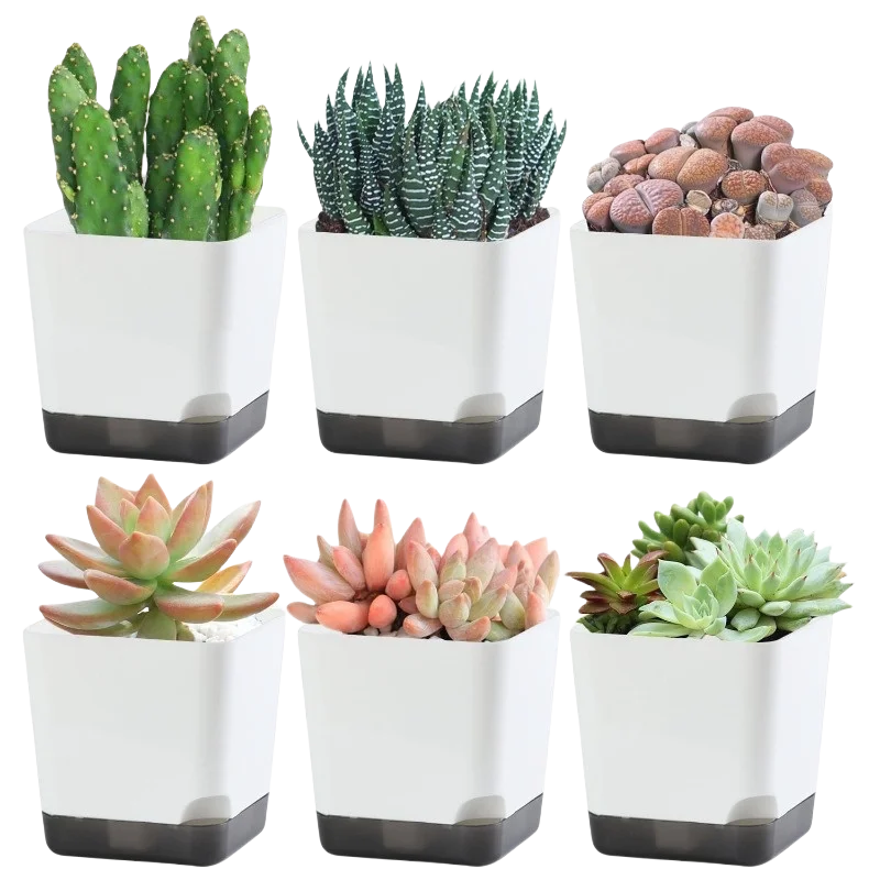 Nordspur | Hydrolia Self-Watering Indoor Planters
