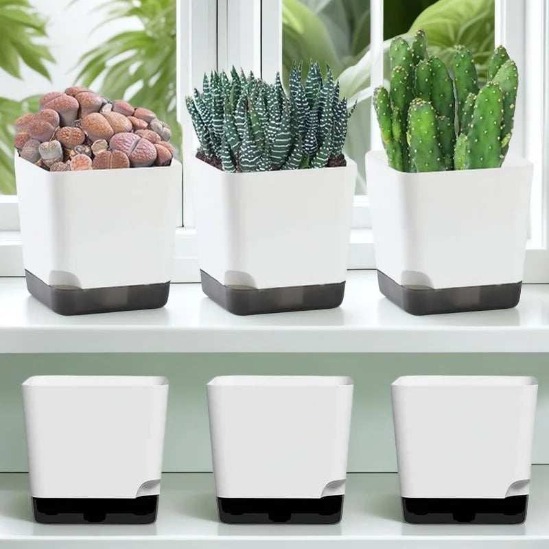 Nordspur | Hydrolia Self-Watering Indoor Planters