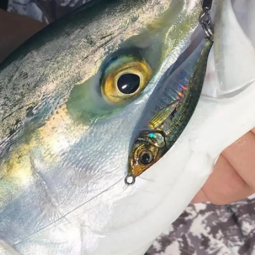 Nordspur | LuminaJig Luminous Sea Fishing Jig Bait