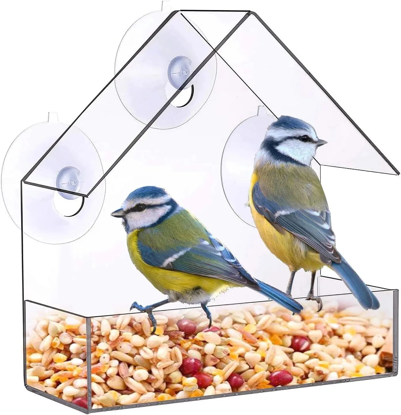 Nordspur | Lumiroost Window Bird Feeder