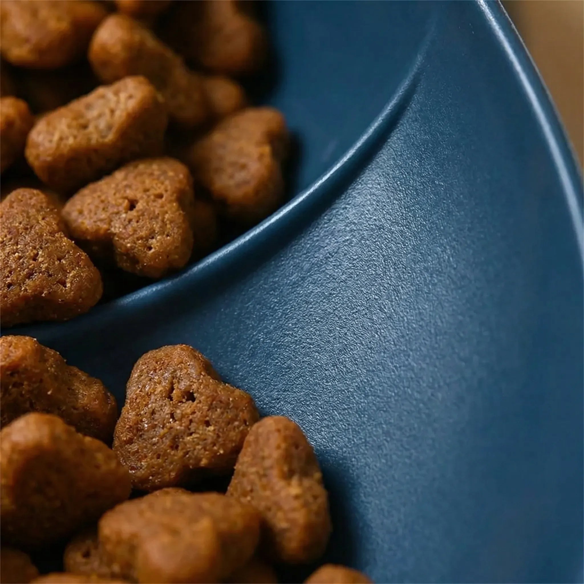 Nordspur | Mewfeed Tilted 3-In-1 Cat Bowl Set