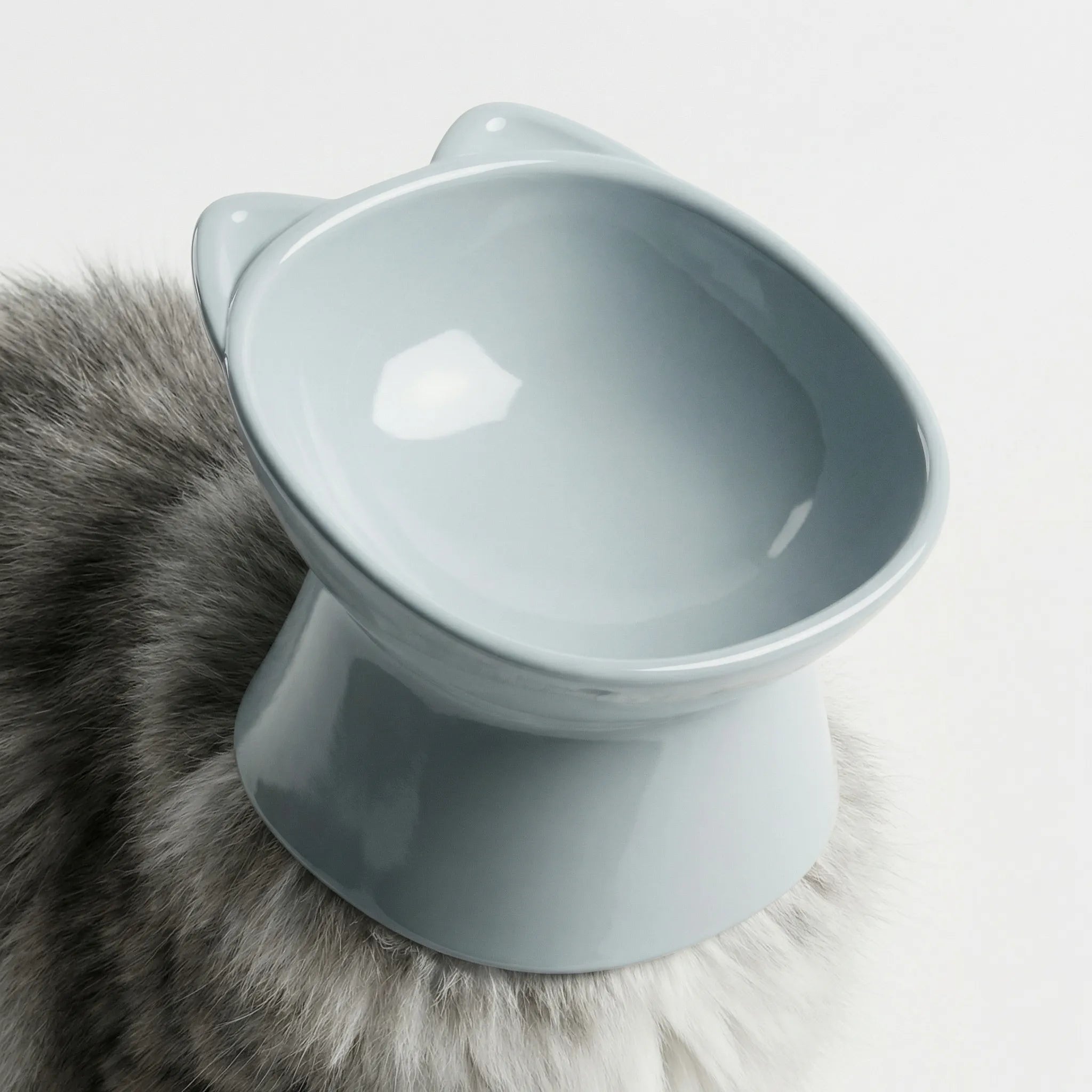 Nordspur | Mewlift Elevated High-Leg Cat Feeding Bowl