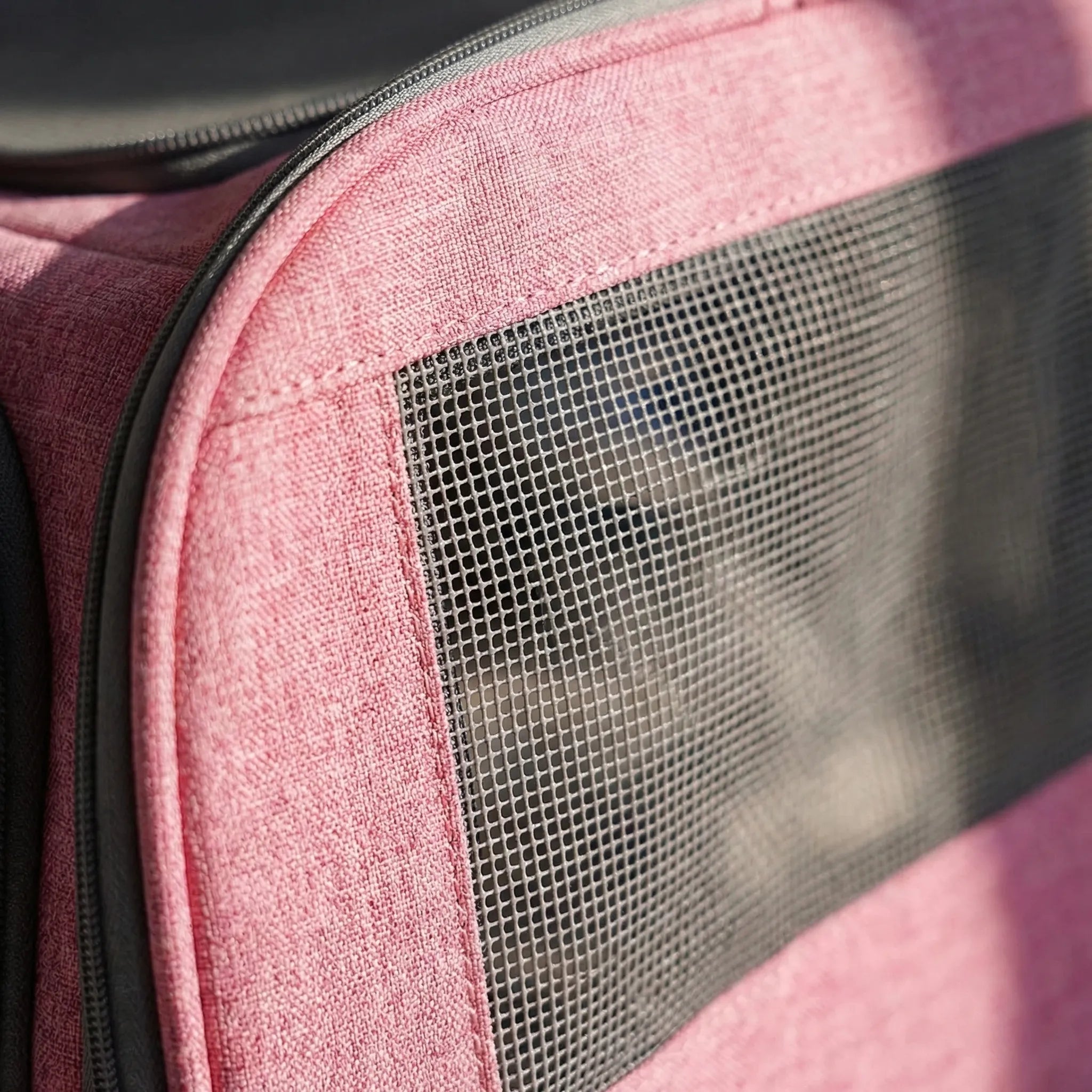 Nordspur | Mewport Soft-Sided Carrier For Medium And Large Cats