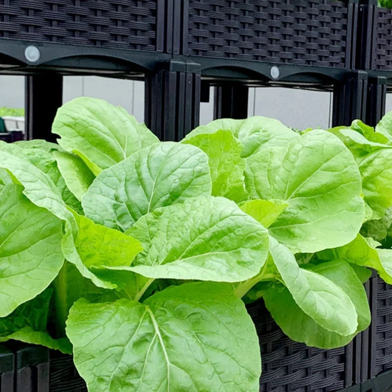 Nordspur | Modugrow Woven-Look Rectangular Planter