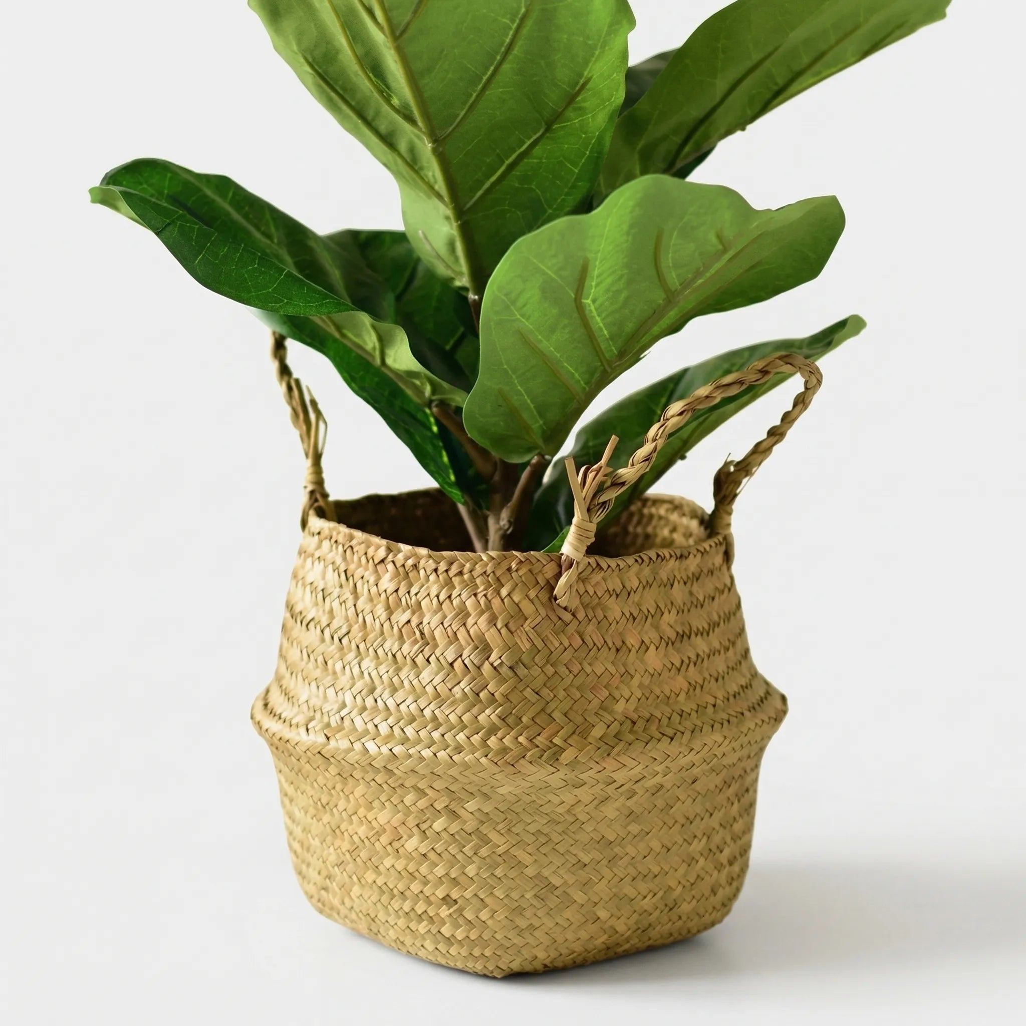 Nordspur | Nestara Foldable Woven Belly Basket With Handles