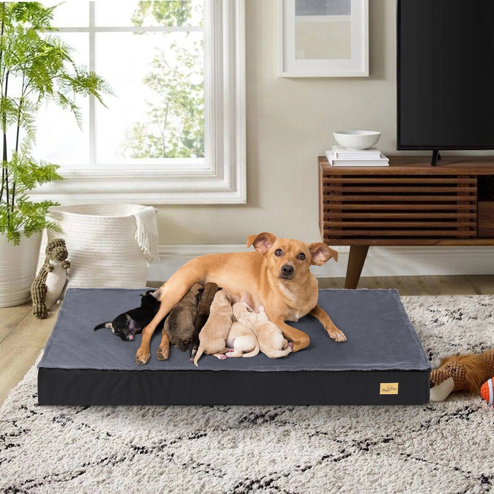 Nordspur | Nestaven Washable Orthopedic Dog Crate Bed