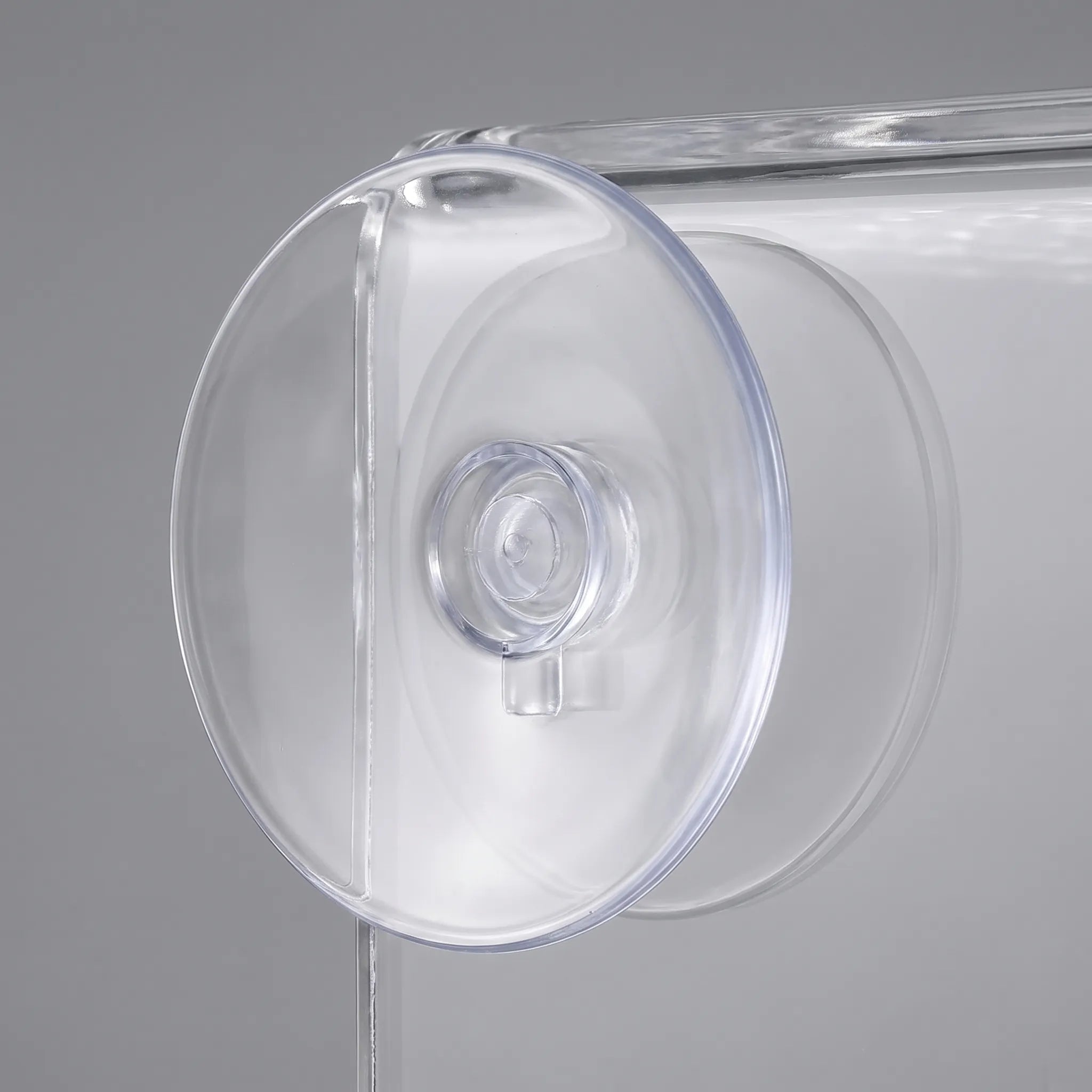 Nordspur | Ornithea Window Mounted Bird Feeder