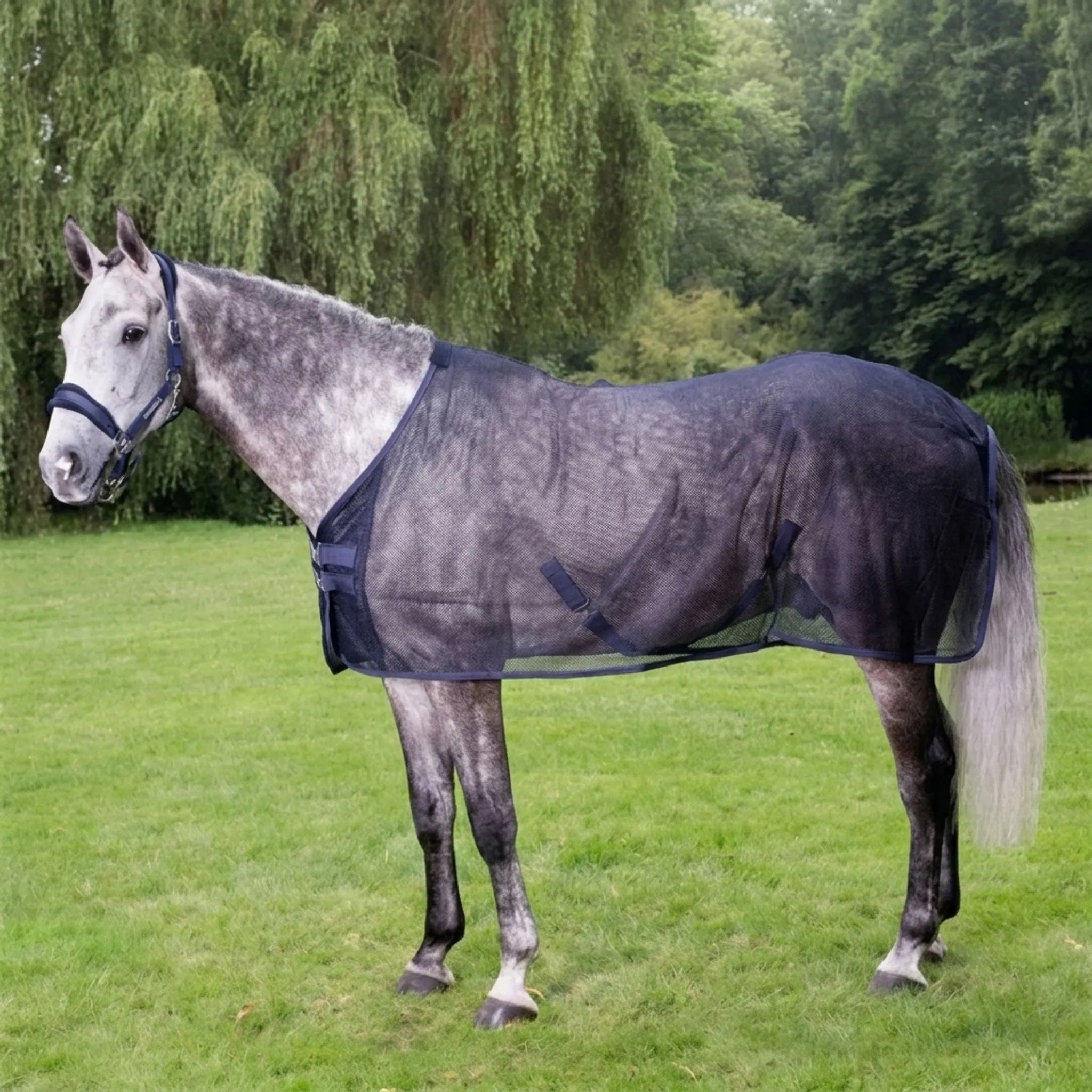 Nordspur | Paddox Summer Horse Fly Sheet