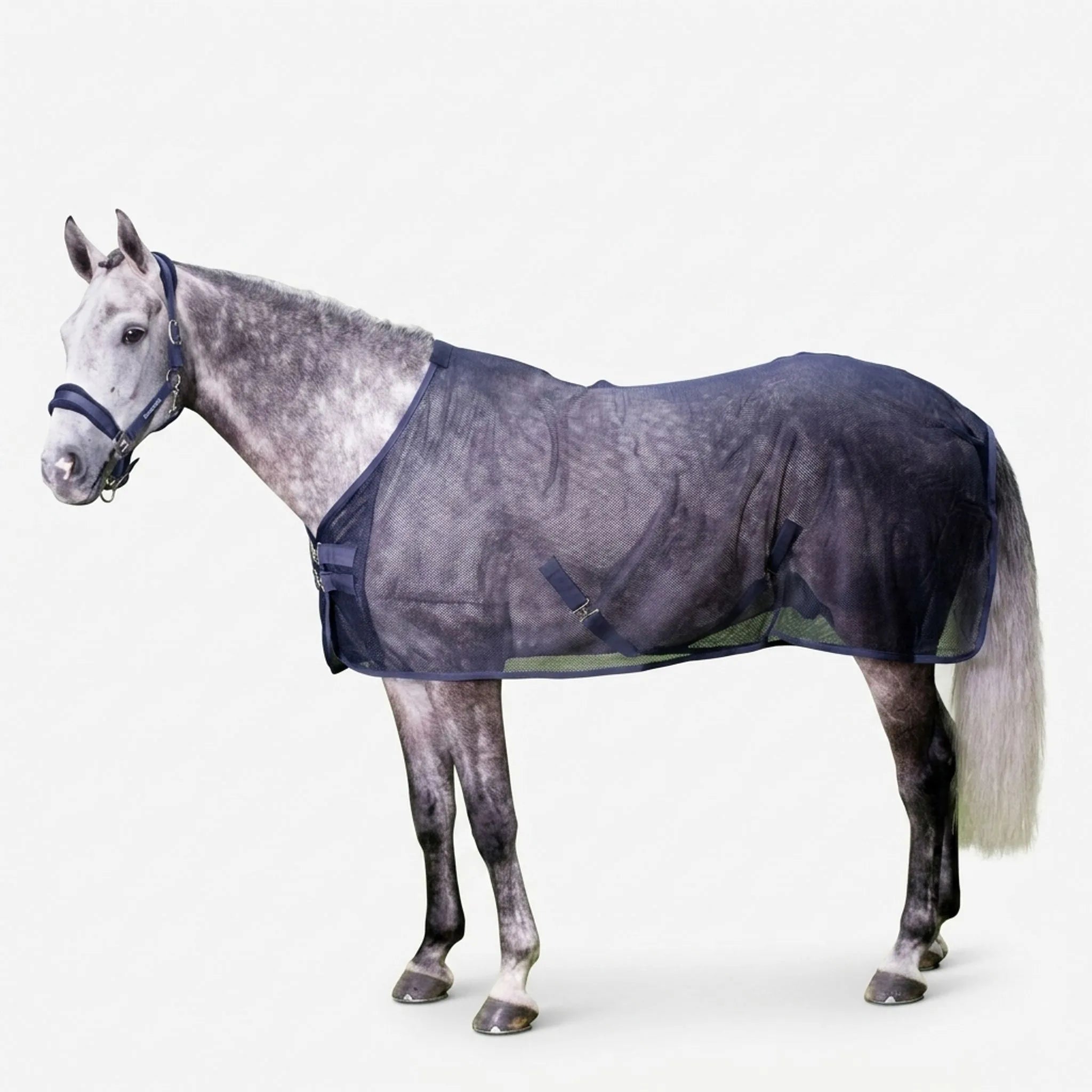Nordspur | Paddox Summer Horse Fly Sheet