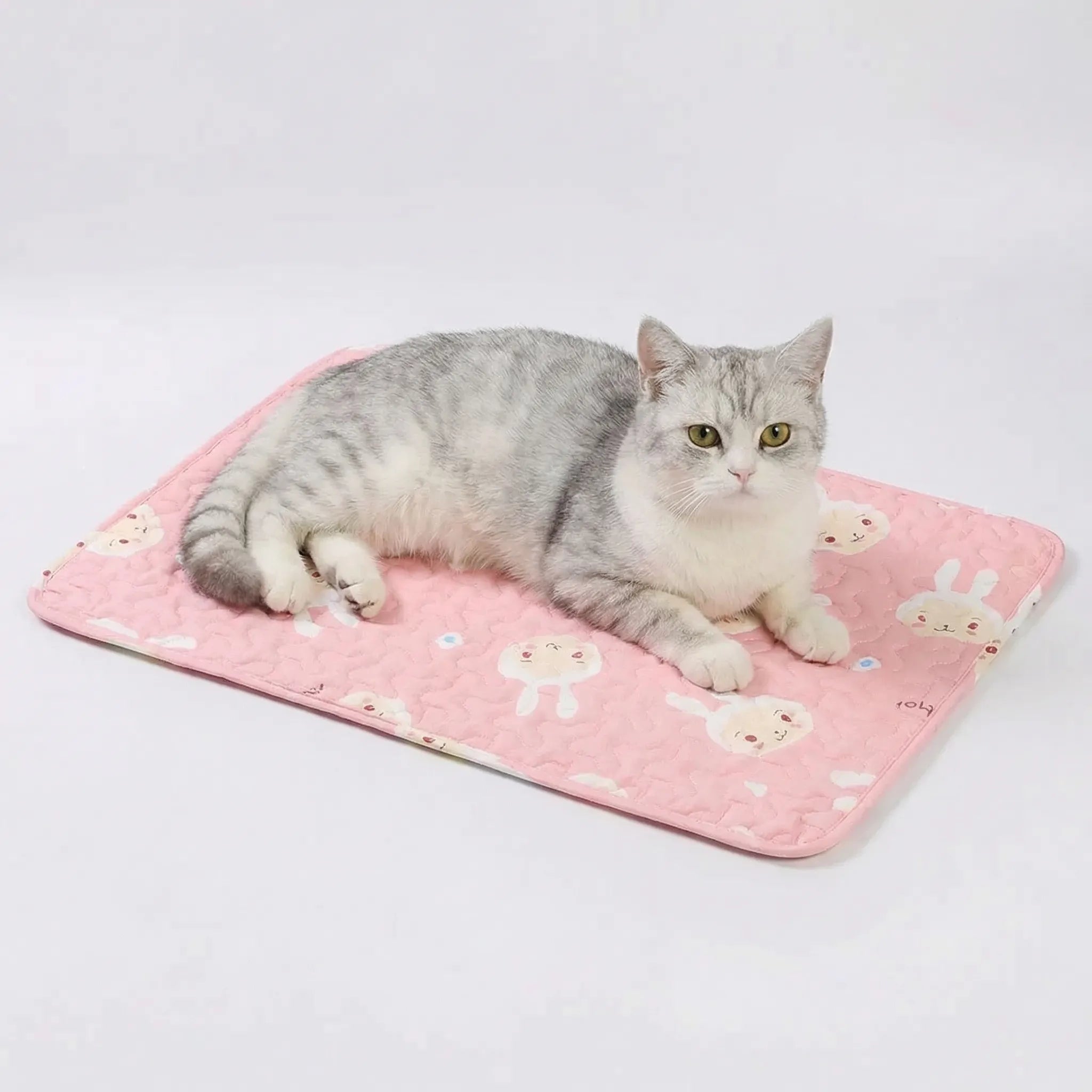 Nordspur | Pawchill Breathable Cooling Pet Sleep Mat