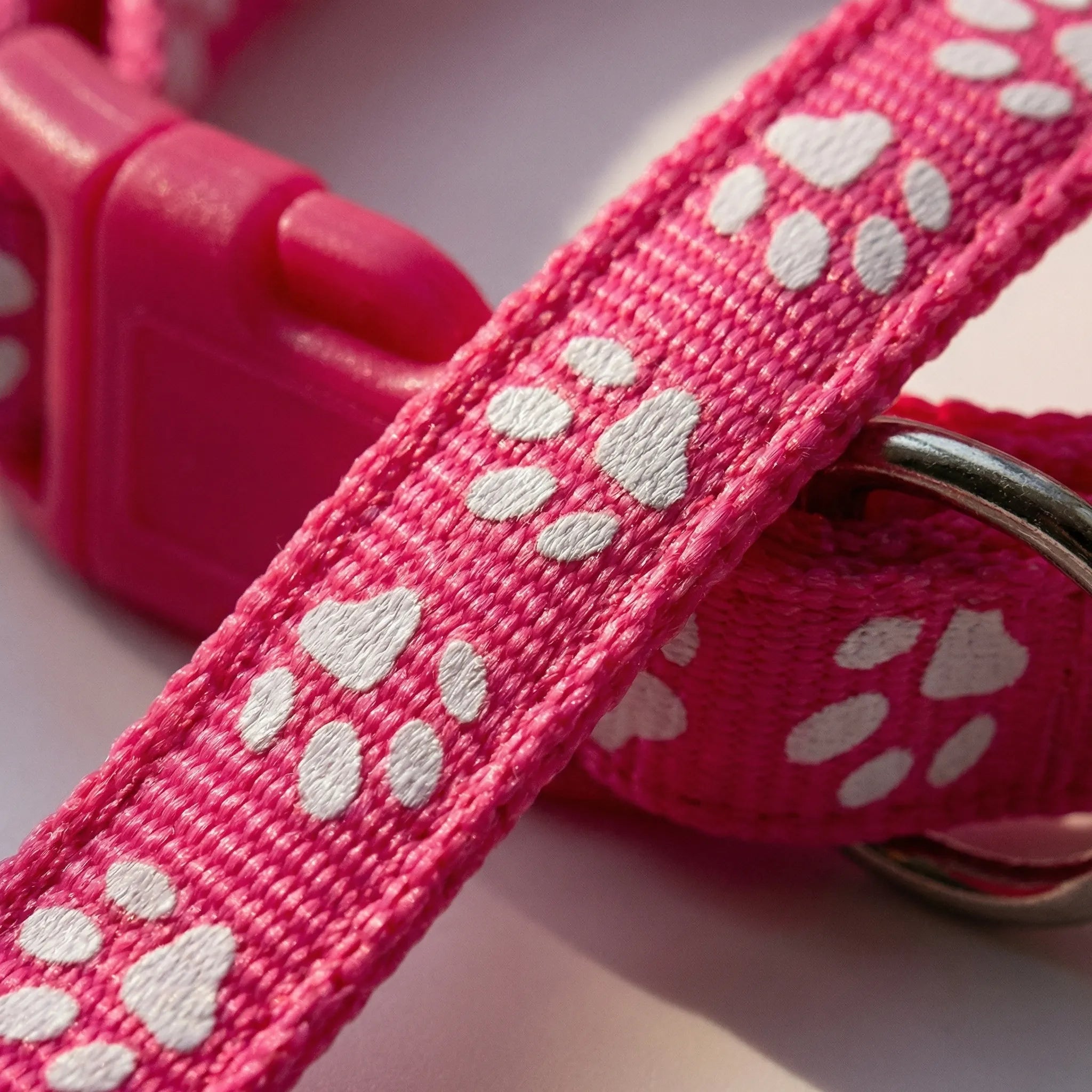 Nordspur | Pawdash Adjustable Collar And Leash Set