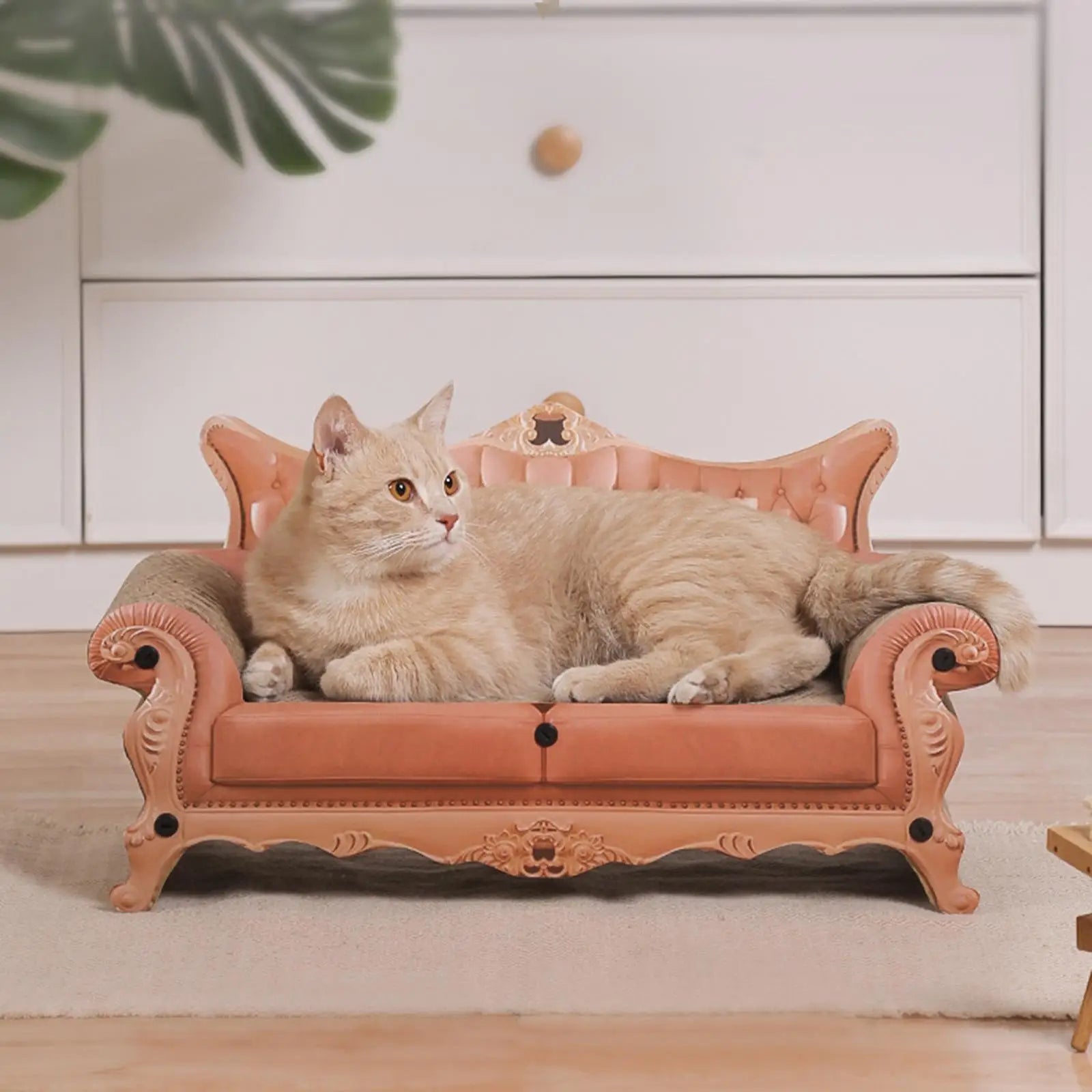 Nordspur | Pawlaise European Chaise-Style Cat Scratcher Bed