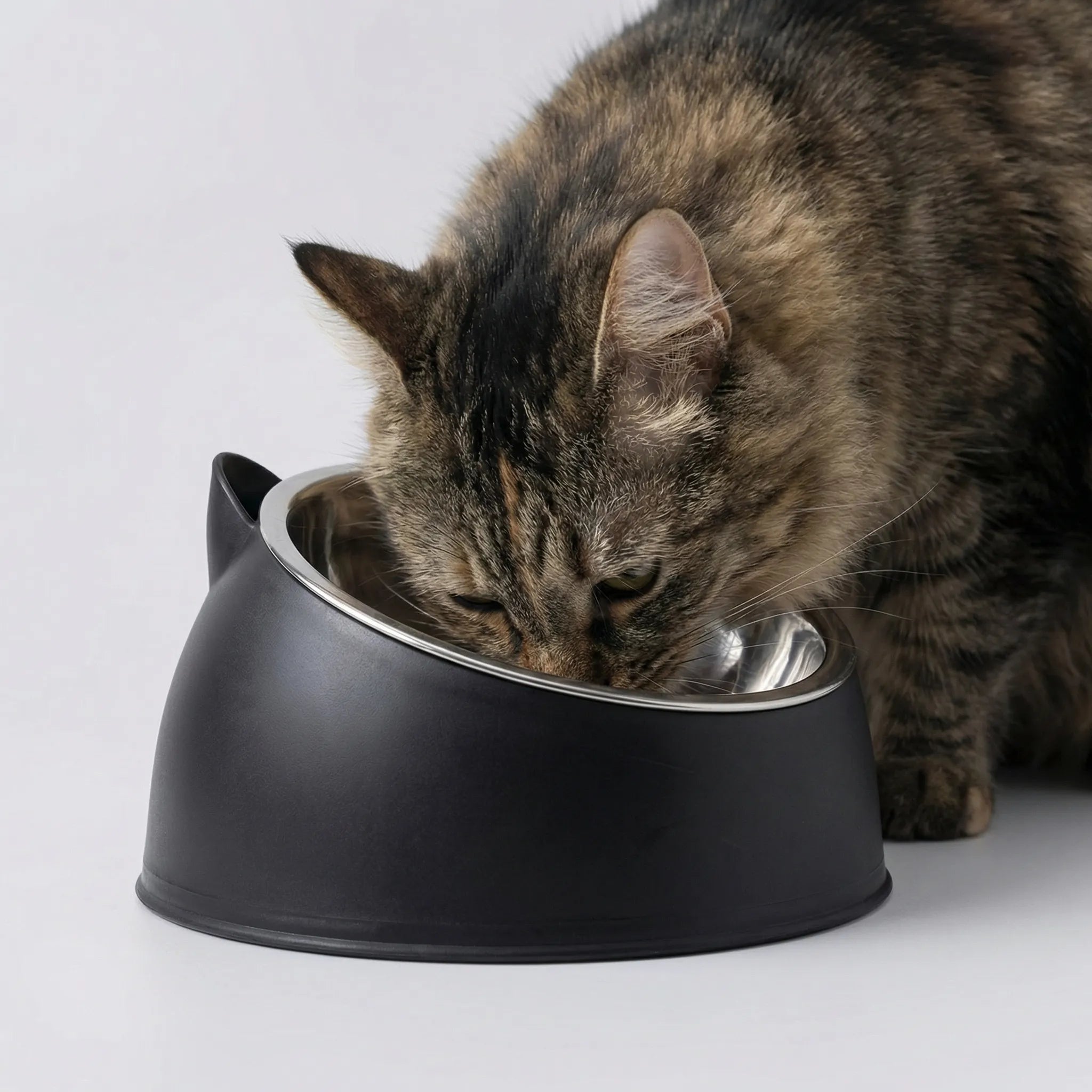 Nordspur | Pawlique Inclined Tilted Cat Feeding Bowl