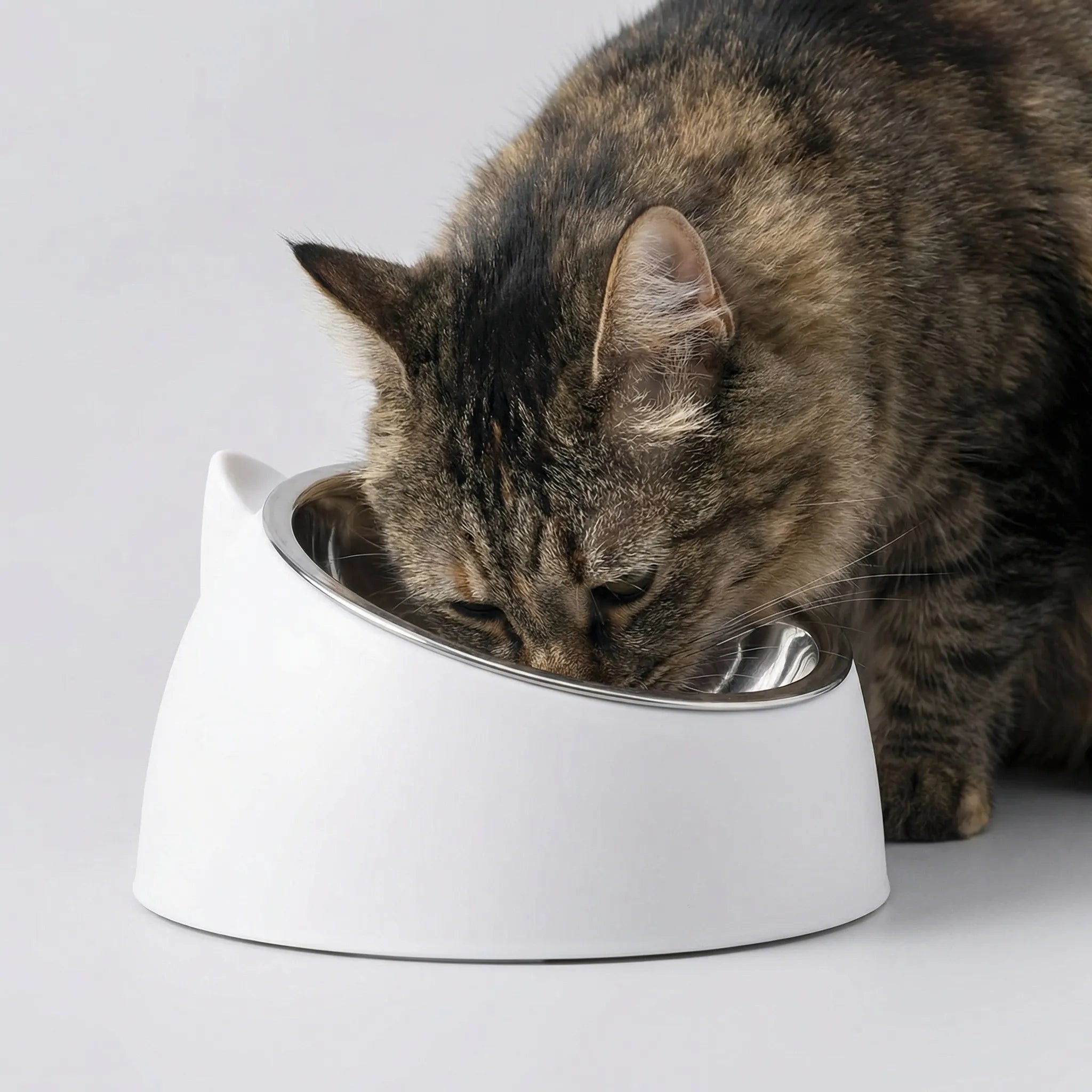 Nordspur | Pawlique Inclined Tilted Cat Feeding Bowl