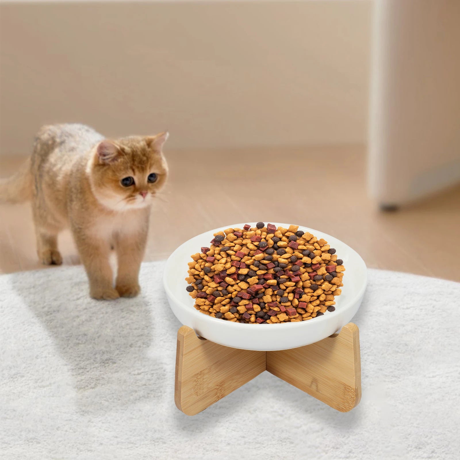 Nordspur | PawsDine Elevated Slow Feeder Cat Bowl