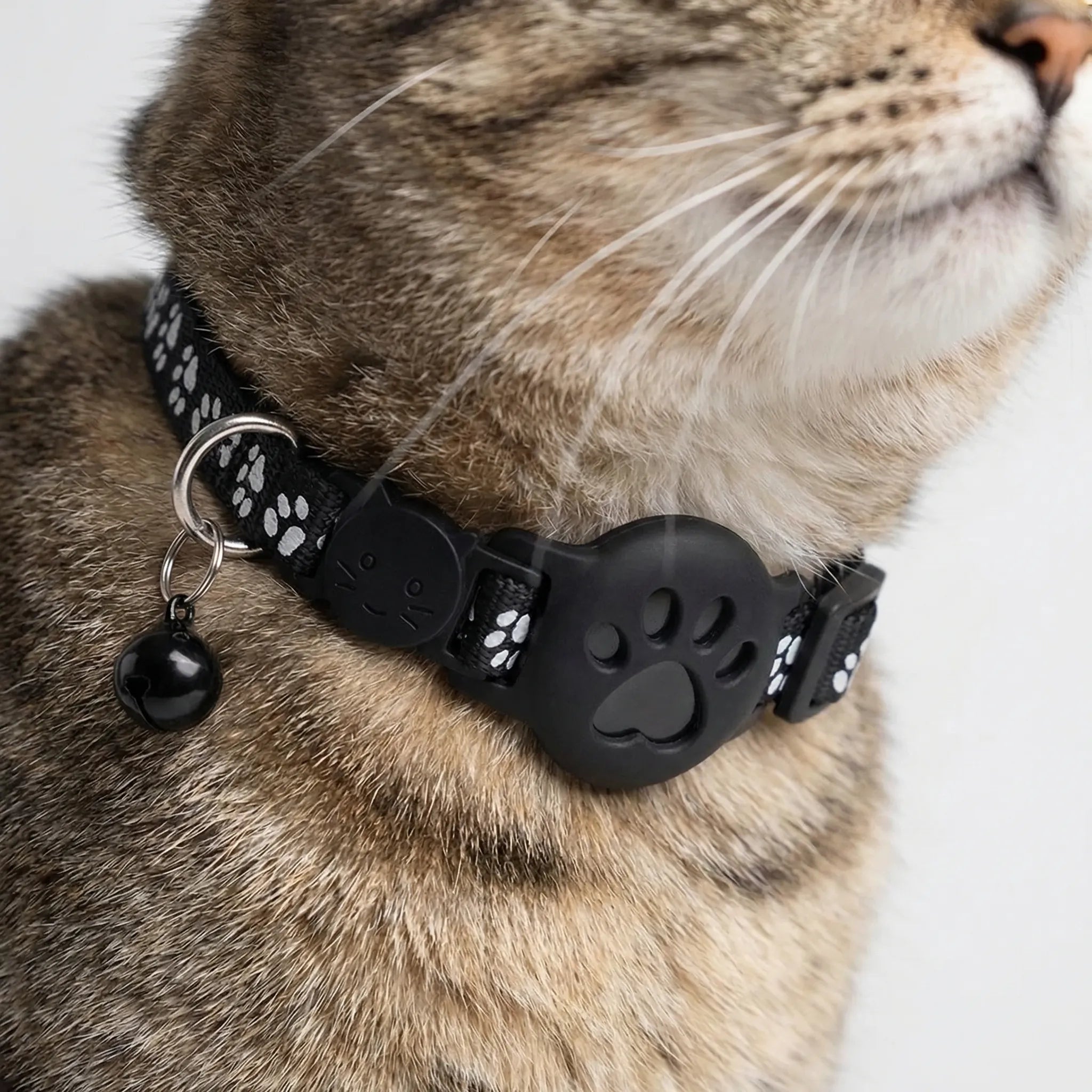 Nordspur | Pawtrackr GPS-Enabled Adjustable Pet Collar