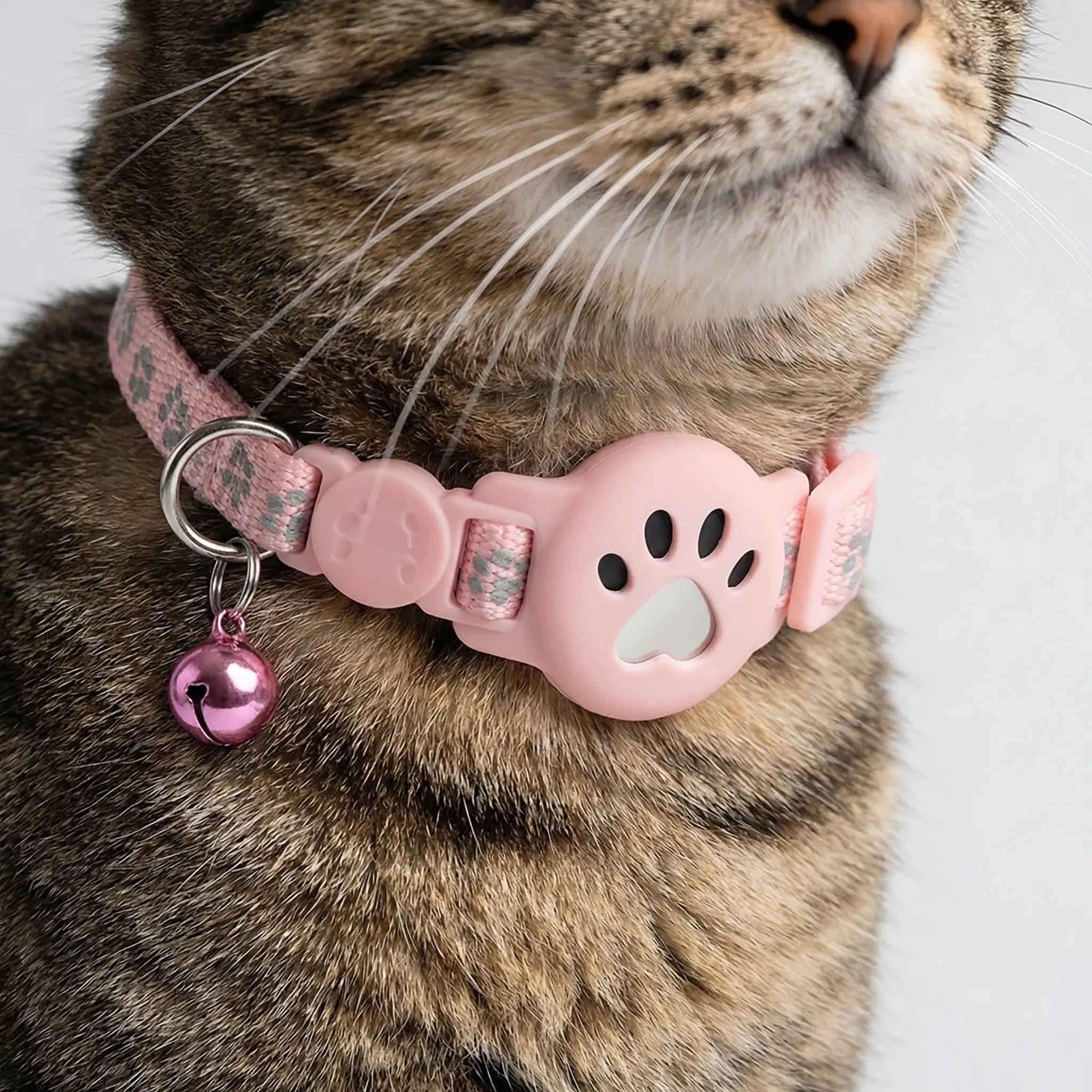 Nordspur | Pawtrackr GPS-Enabled Adjustable Pet Collar