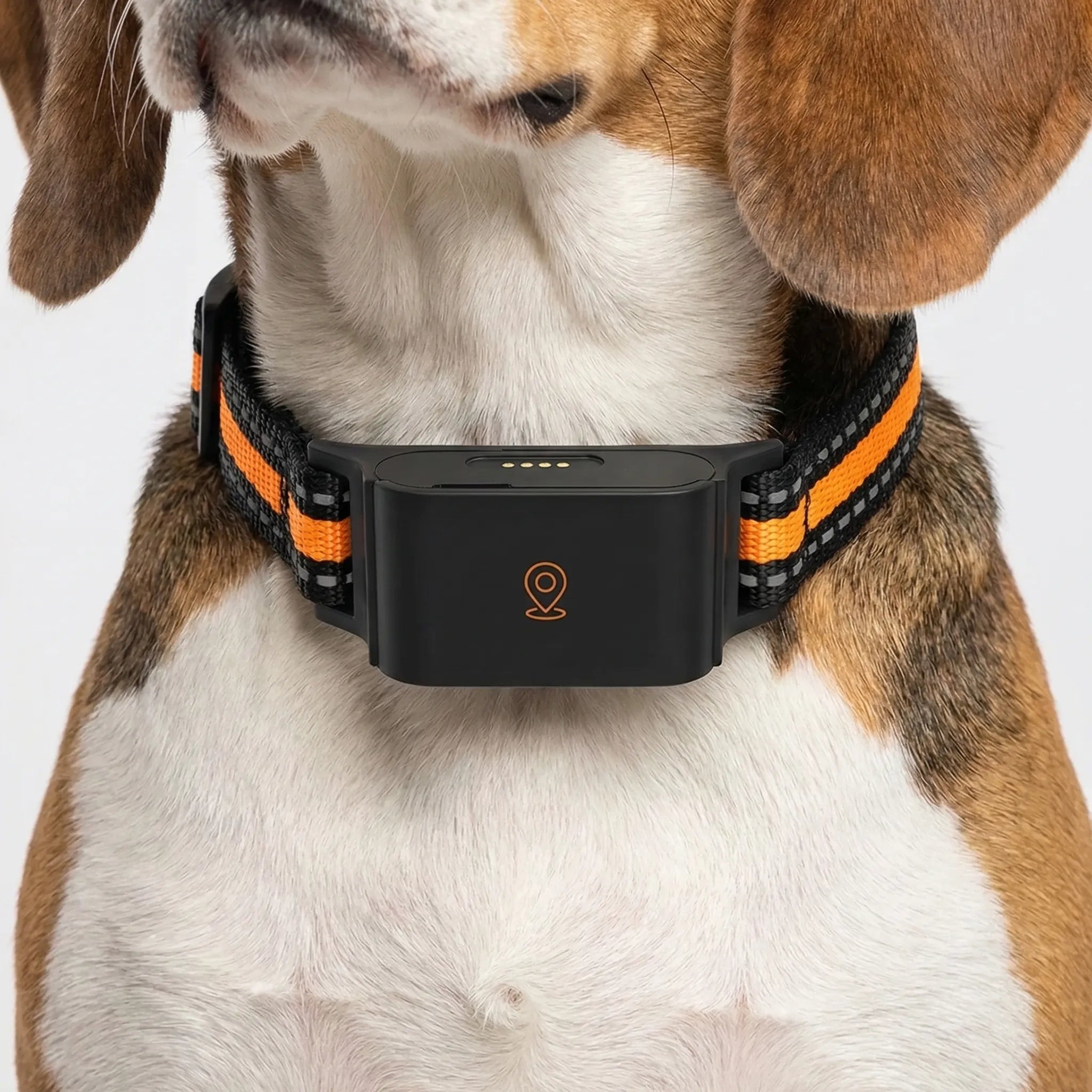 Nordspur | Pawtraq Waterproof Mini GPS Pet Collar