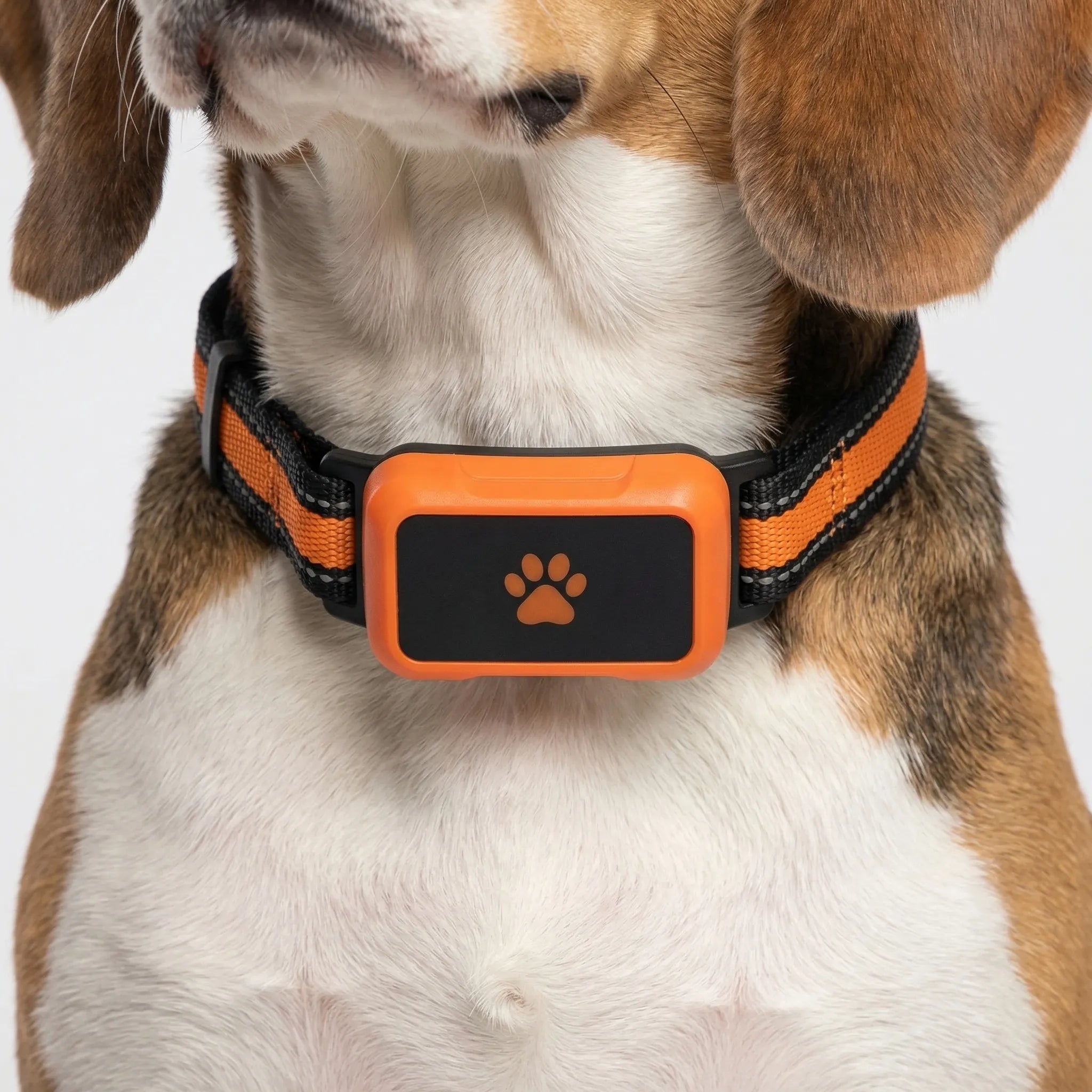 Nordspur | Pawtraq Waterproof Mini GPS Pet Collar