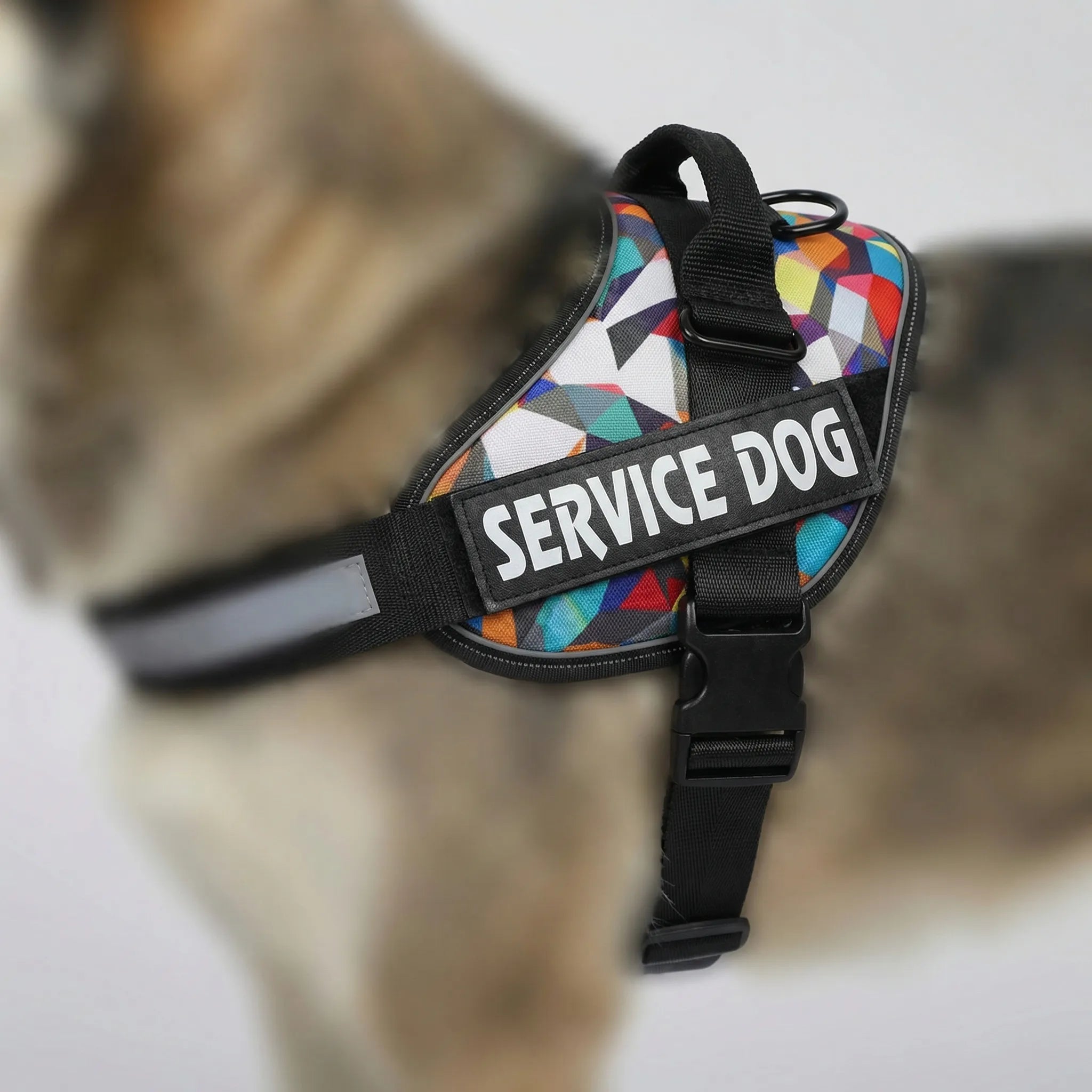 Nordspur | Pawvest Adjustable Chest Strap Dog Vest Harness