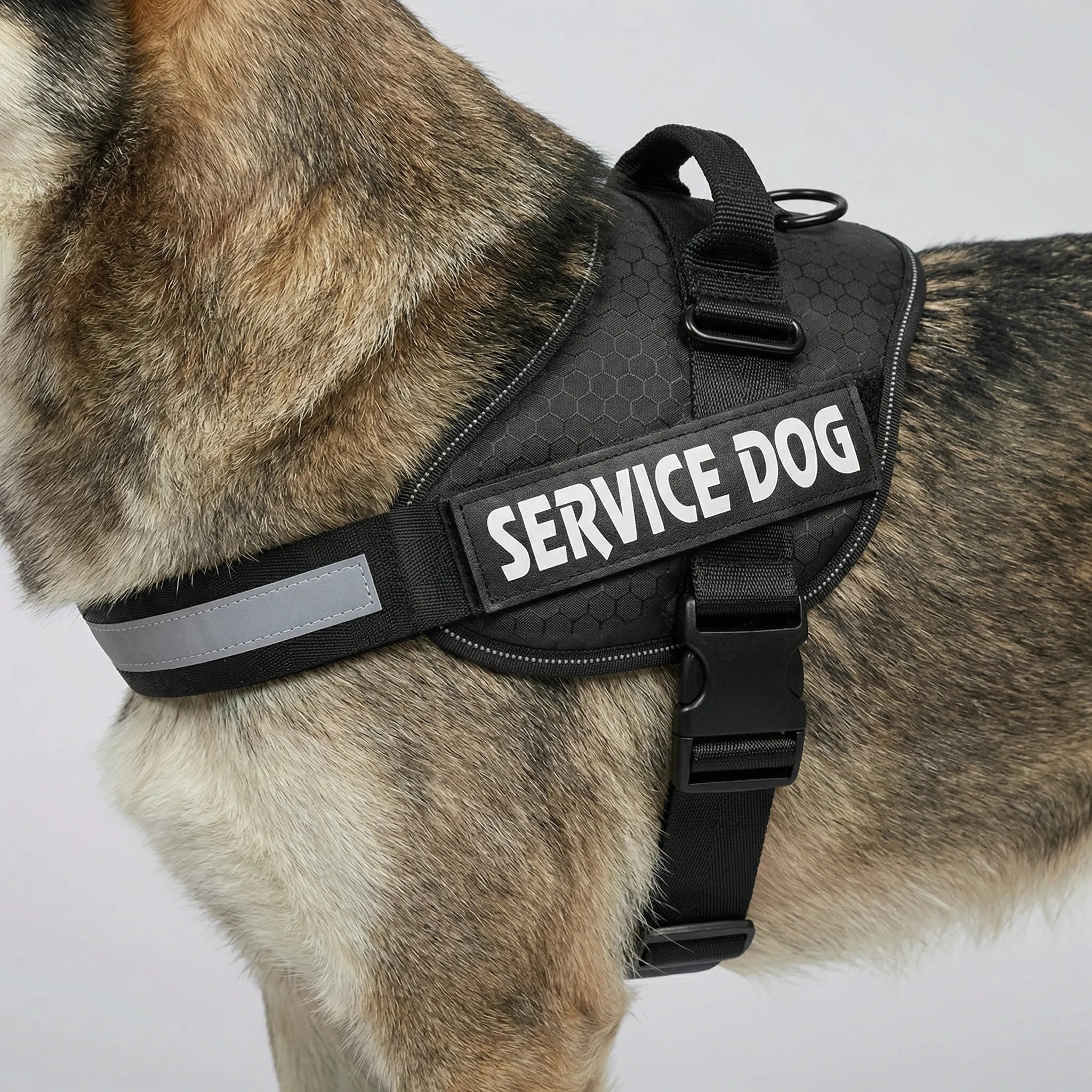 Nordspur | Pawvest Adjustable Chest Strap Dog Vest Harness