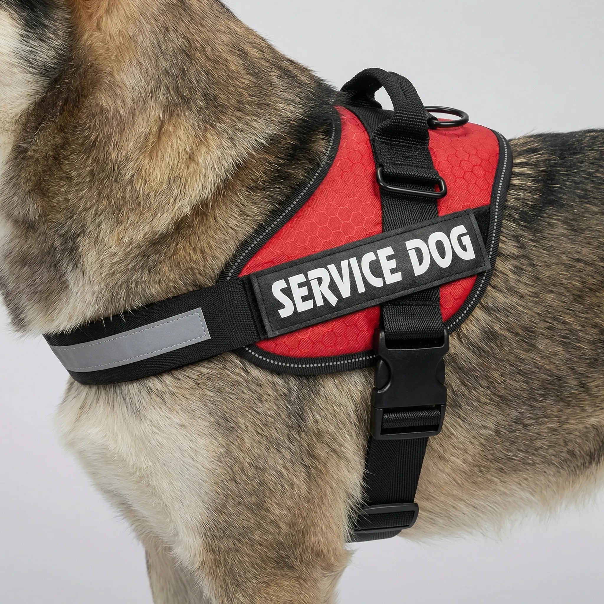 Nordspur | Pawvest Adjustable Chest Strap Dog Vest Harness