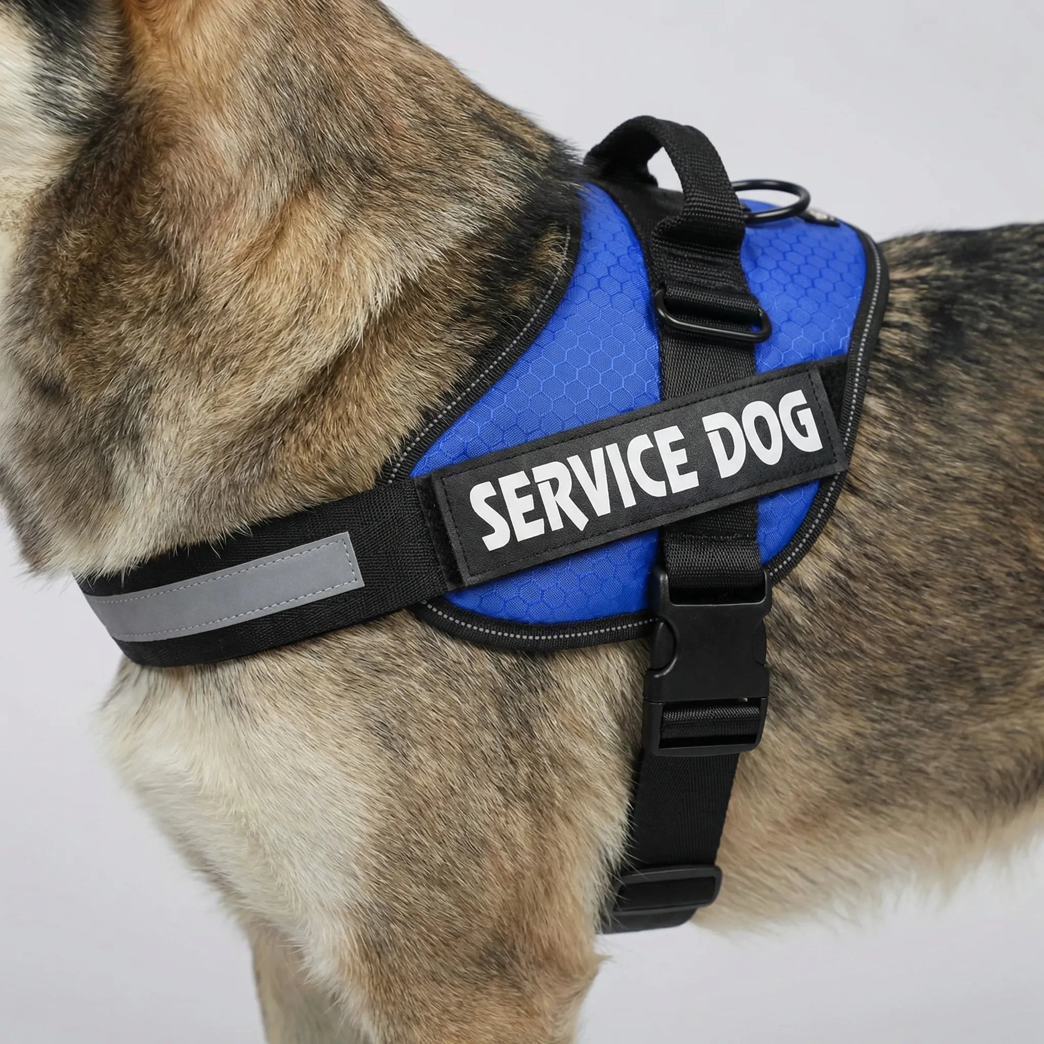 Nordspur | Pawvest Adjustable Chest Strap Dog Vest Harness