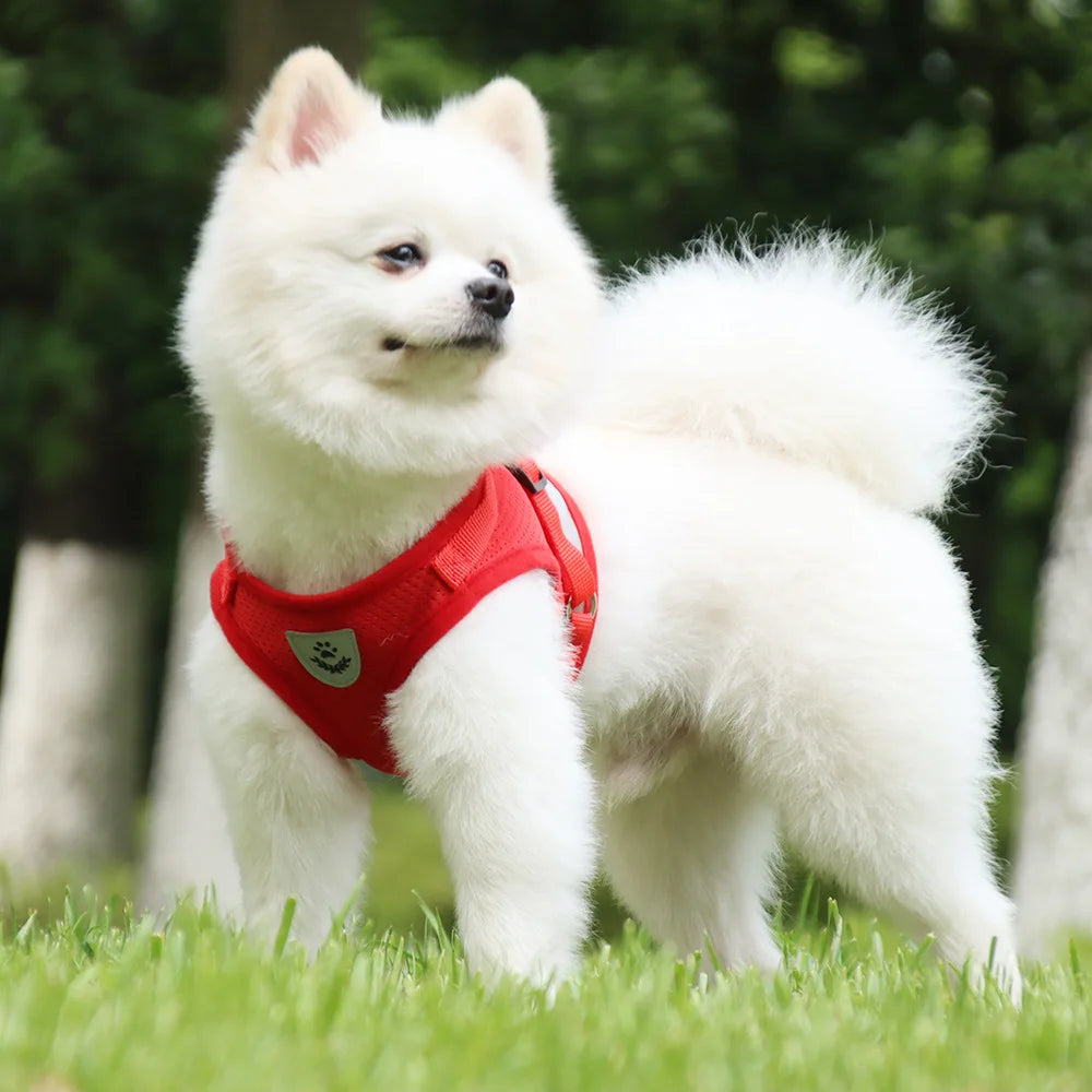Nordspur | Pawvest Vest-Style Harness And Leash Set