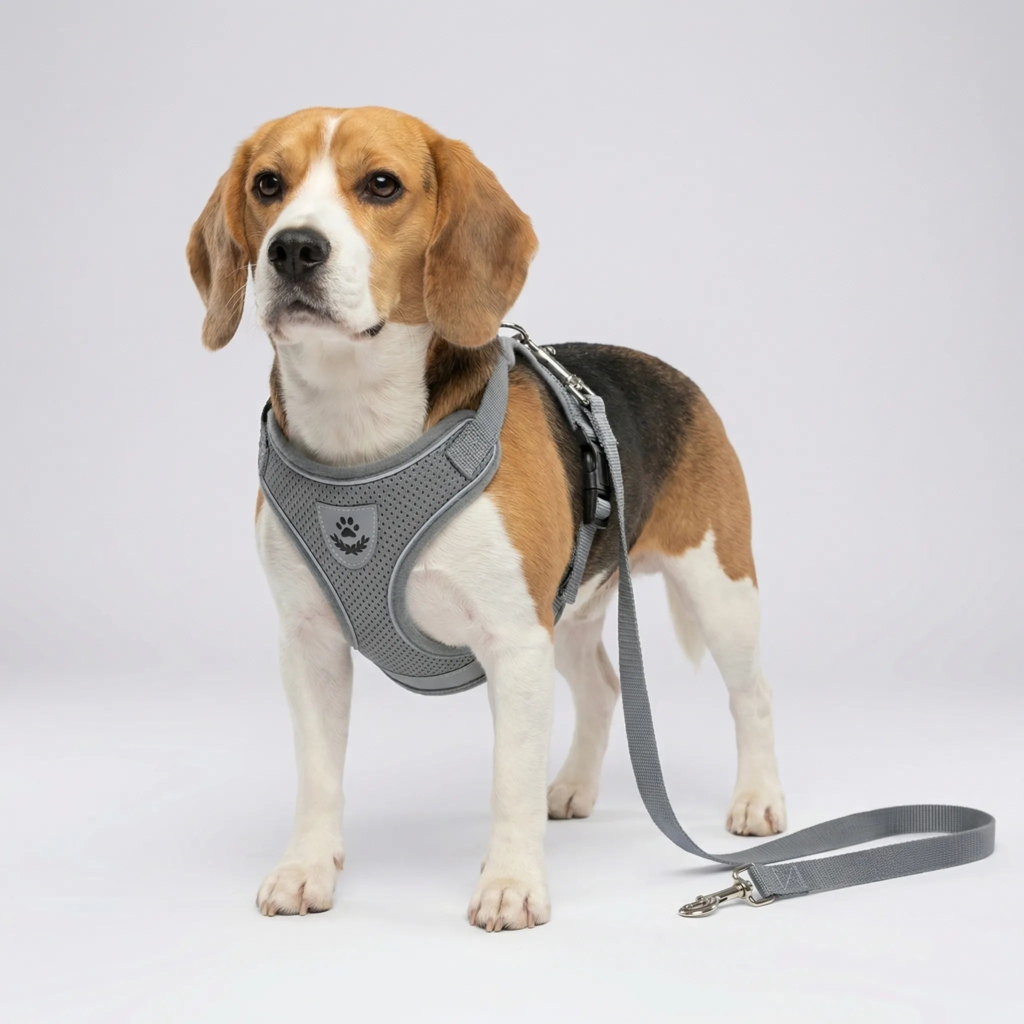Nordspur | Pawvest Vest-Style Harness And Leash Set